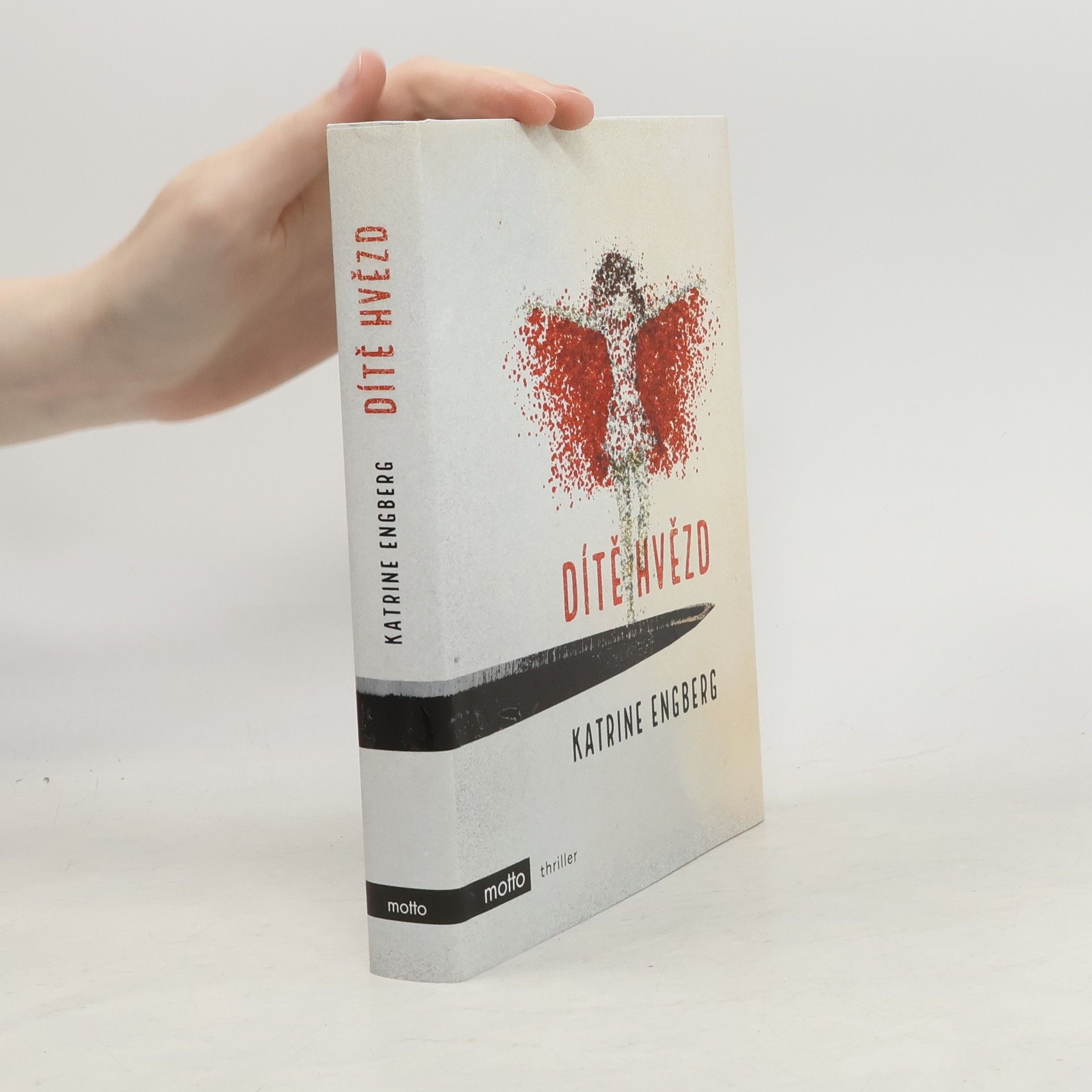 Katrine Engberg Dítě hvězd