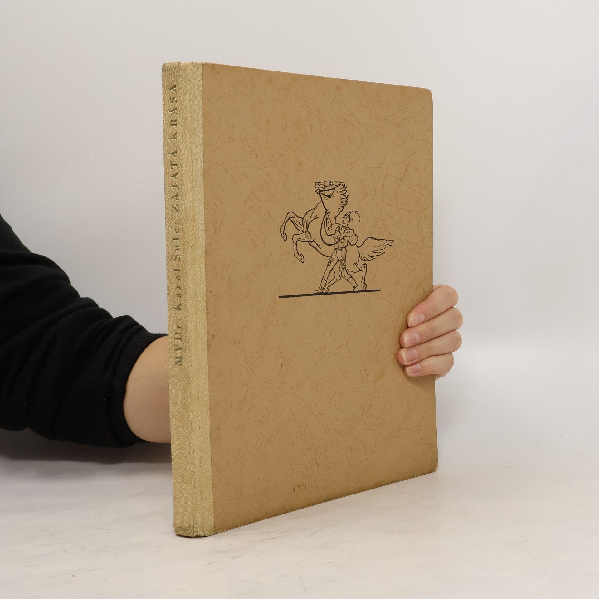 Zajatá krása. Soubor fotografických obrázků ze života koně, mlčenlivého přítele člověka