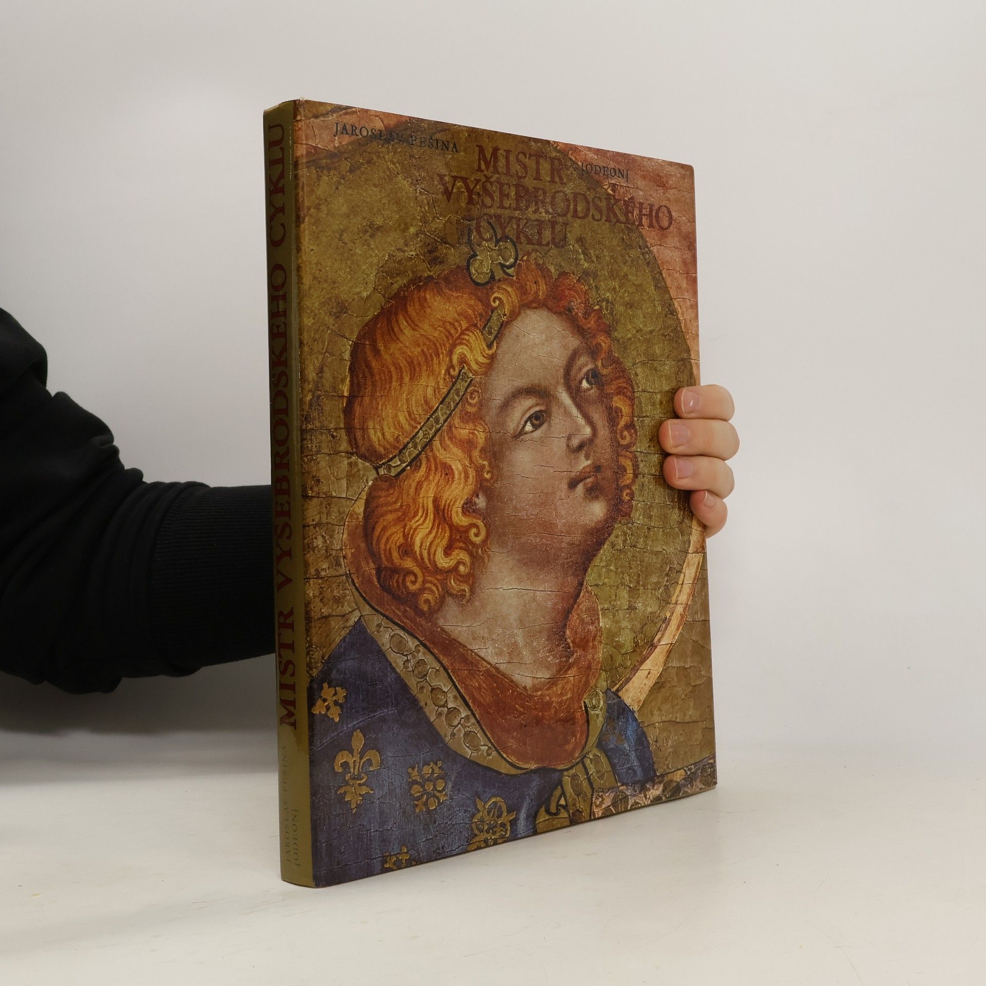 Mistr Vyšebrodského cyklu