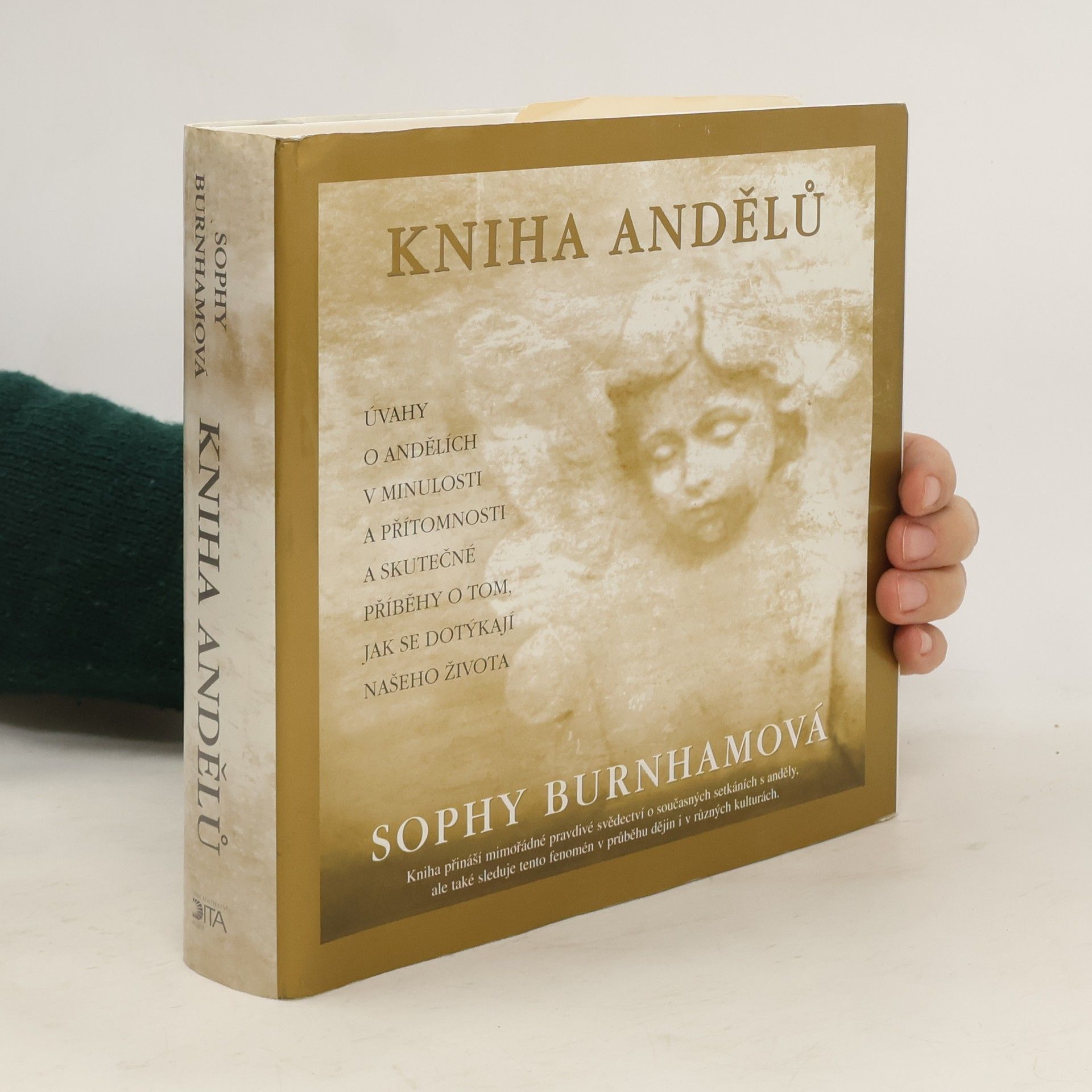 Kniha andělů : úvahy o andělích v minulosti a přítomnosti a skutečné příběhy o tom, jak se dotýkají našeho života