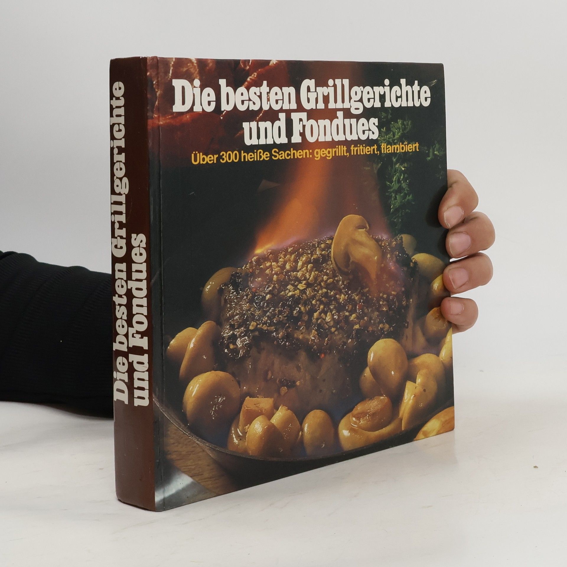 Various authors Die besten Grillgerichte und Fondues