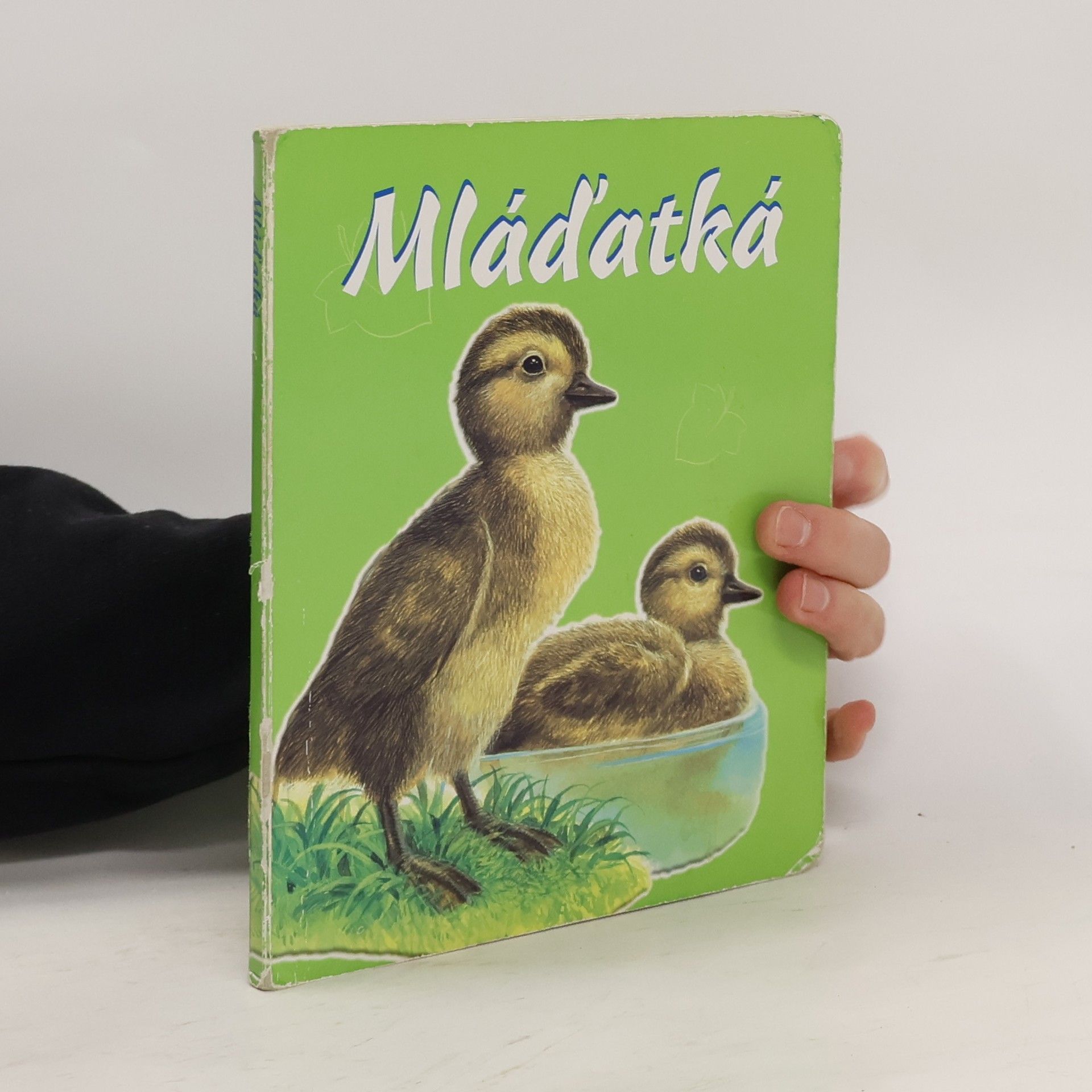 Jozef Pavlovič Mláďatká