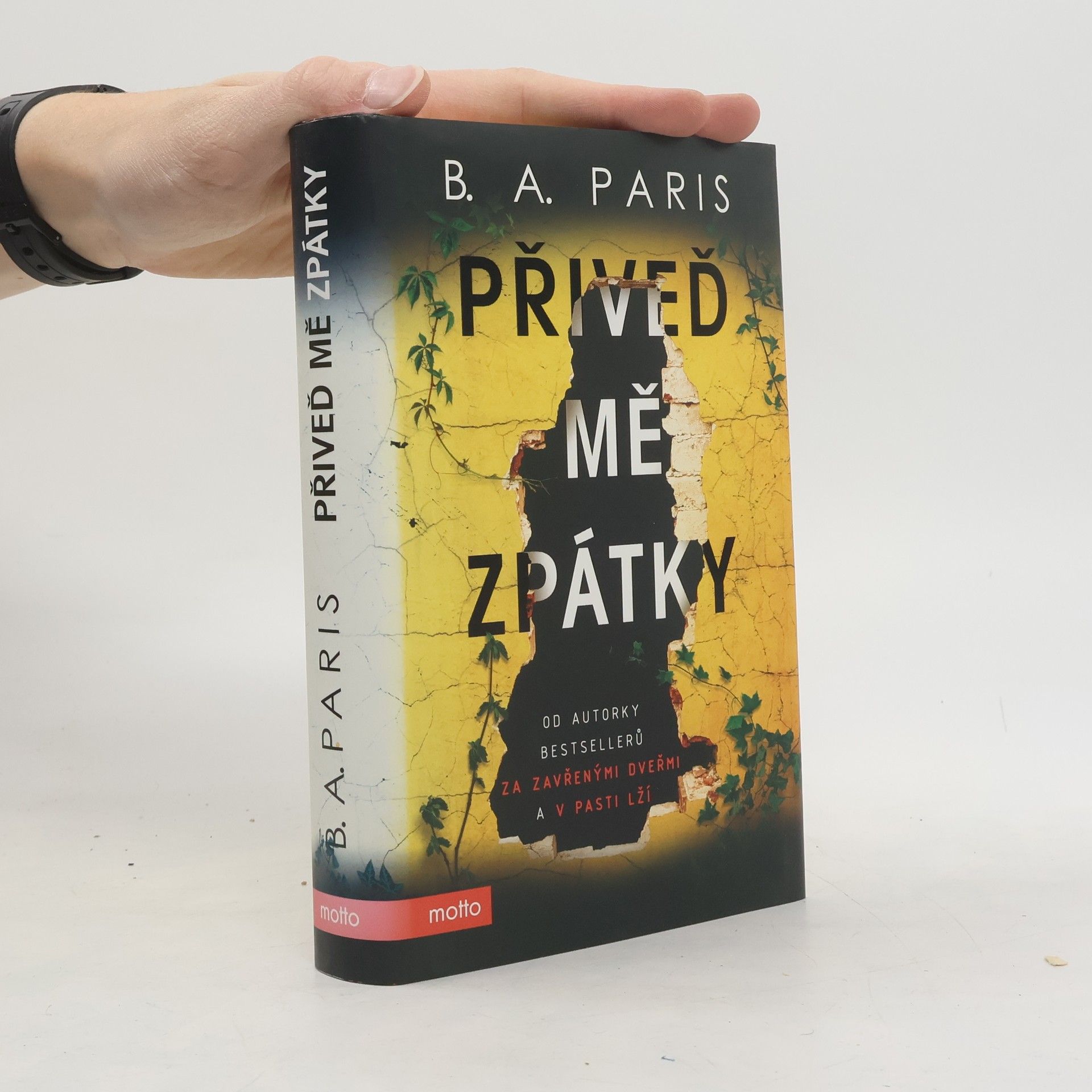 B. A. Paris Přiveď mě zpátky