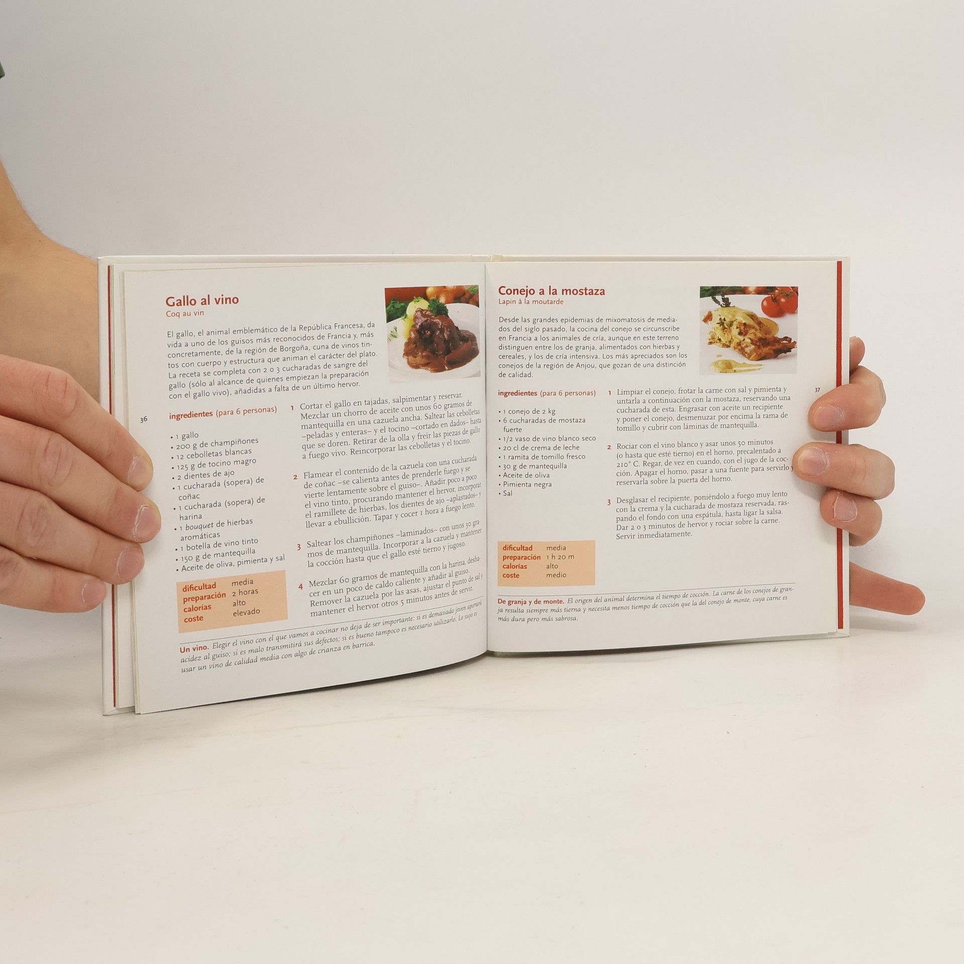 Ignacio Medina Cocina País por País - 5: Francia