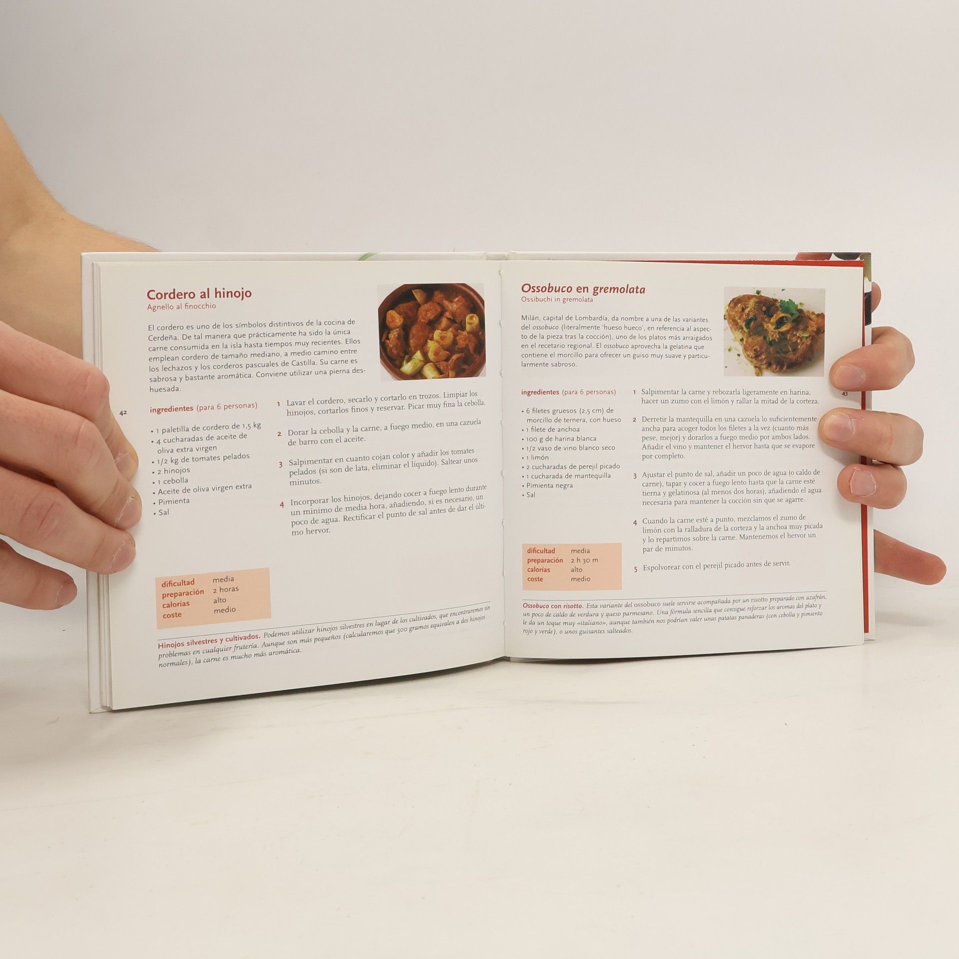Ignacio Medina Cocina país por país. Italia