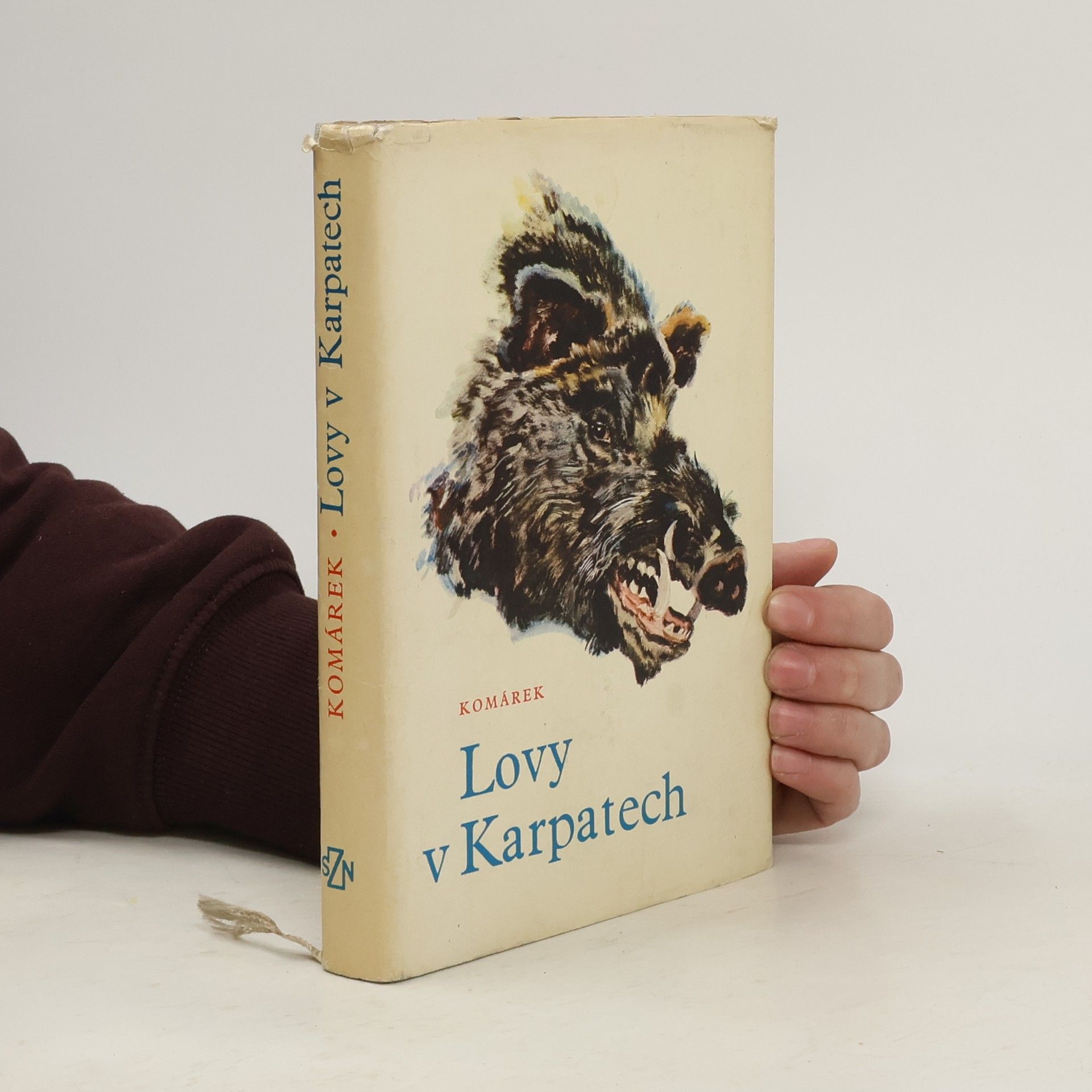 Julius Komárek Lovy v Karpatech