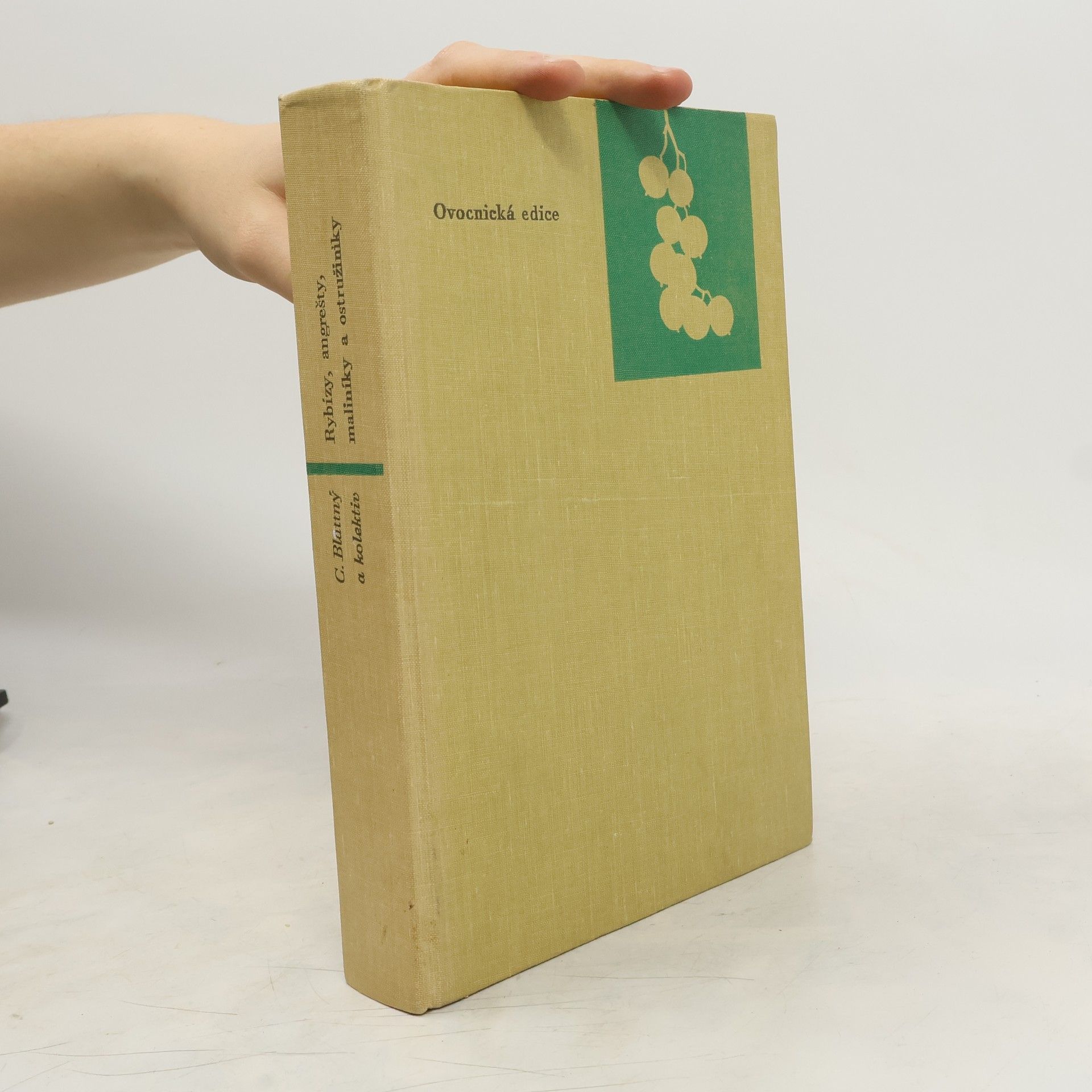 Autorenkollektiv Rybízy, angrešty, maliníky a ostružiníky