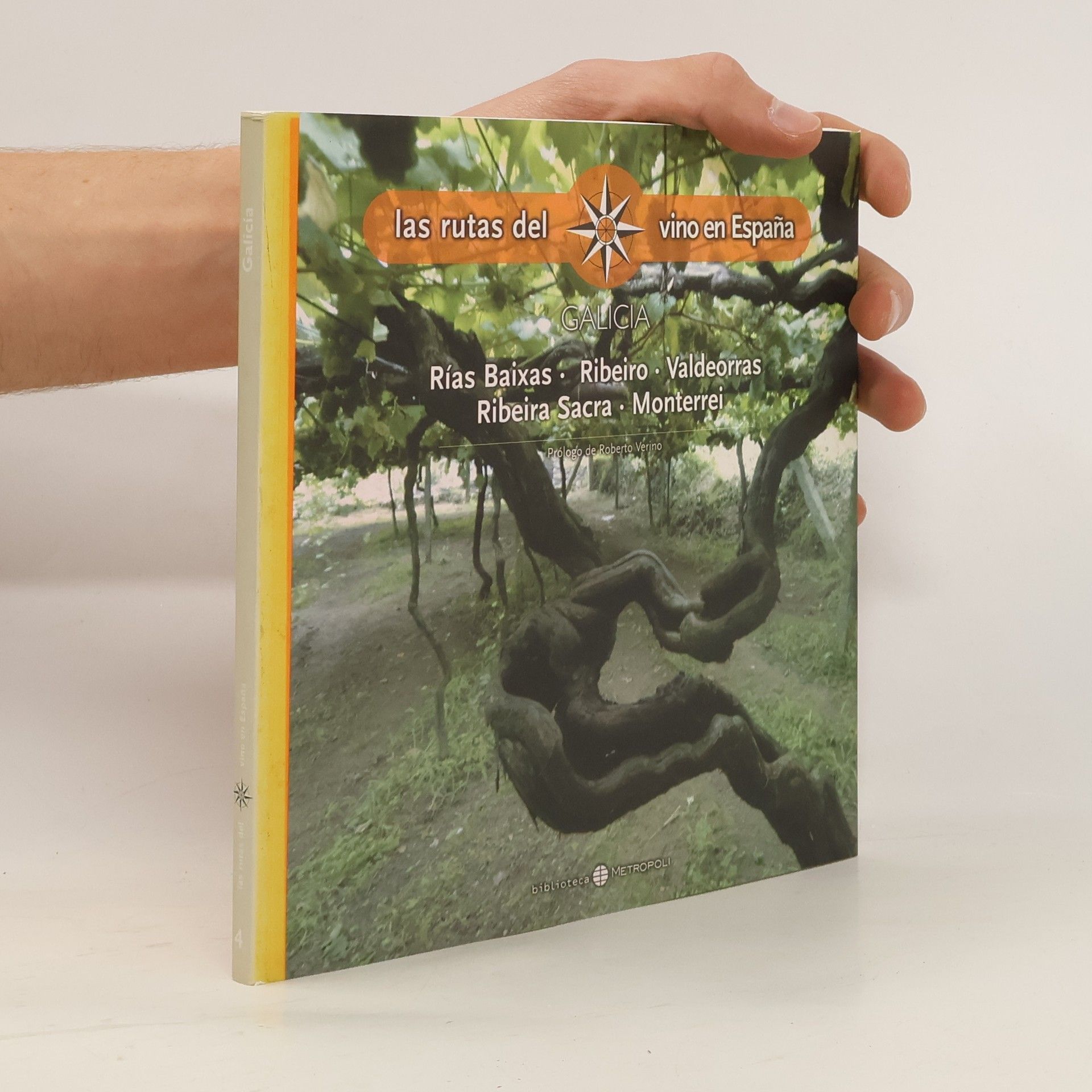 Roberto Verino Galicia