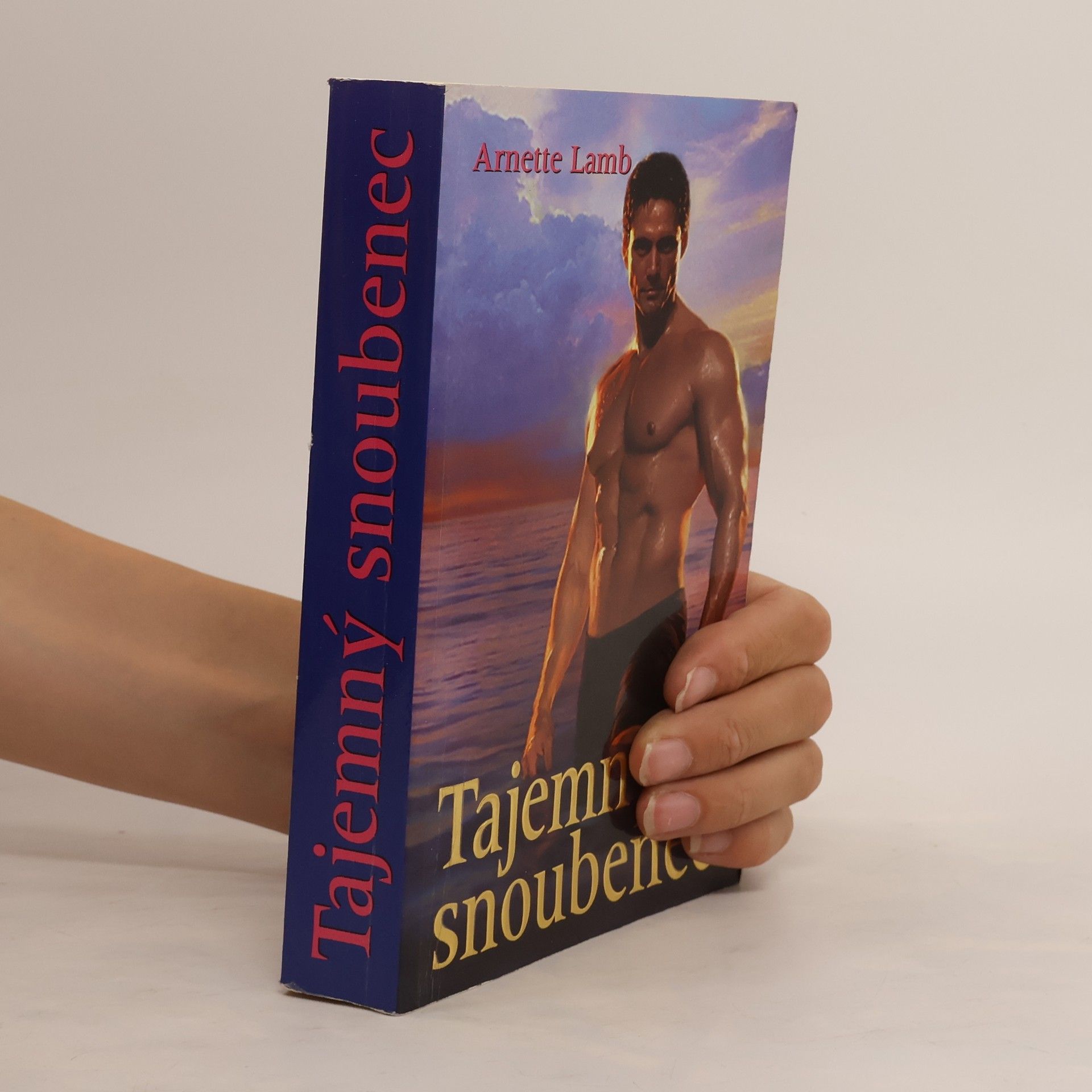 Arnette Lamb Tajemný snoubenec