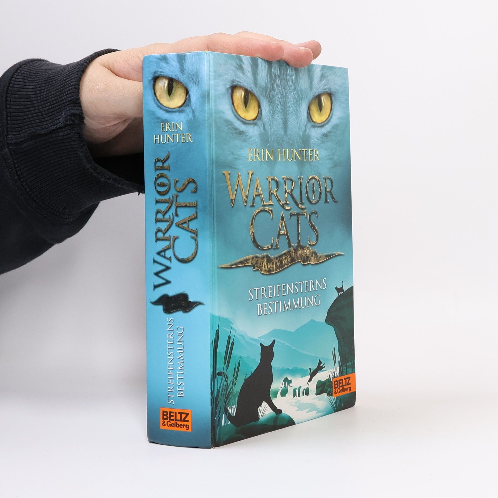 Erin Hunter Warrior cats - special adventure
