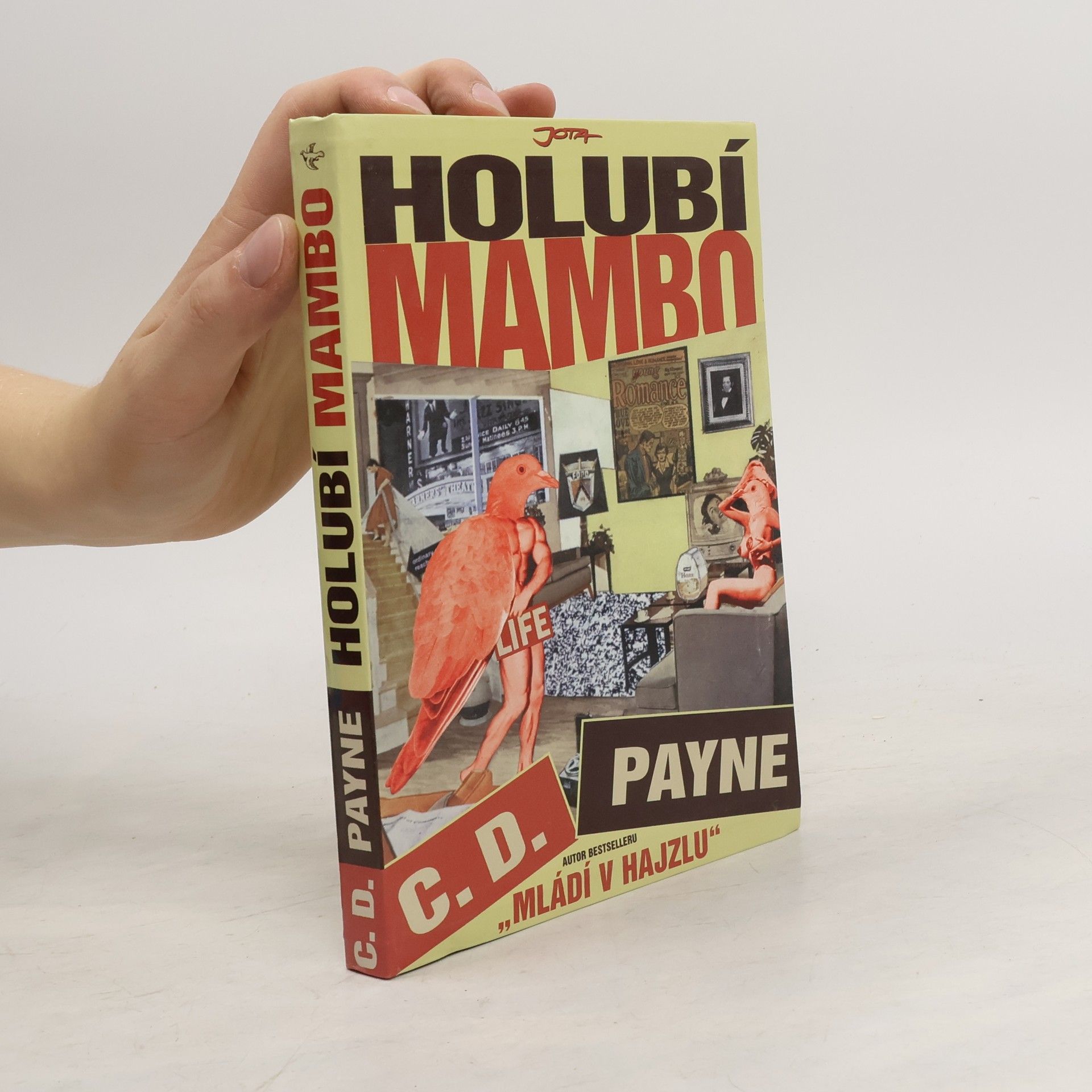 Tamara Váňová Holubí mambo