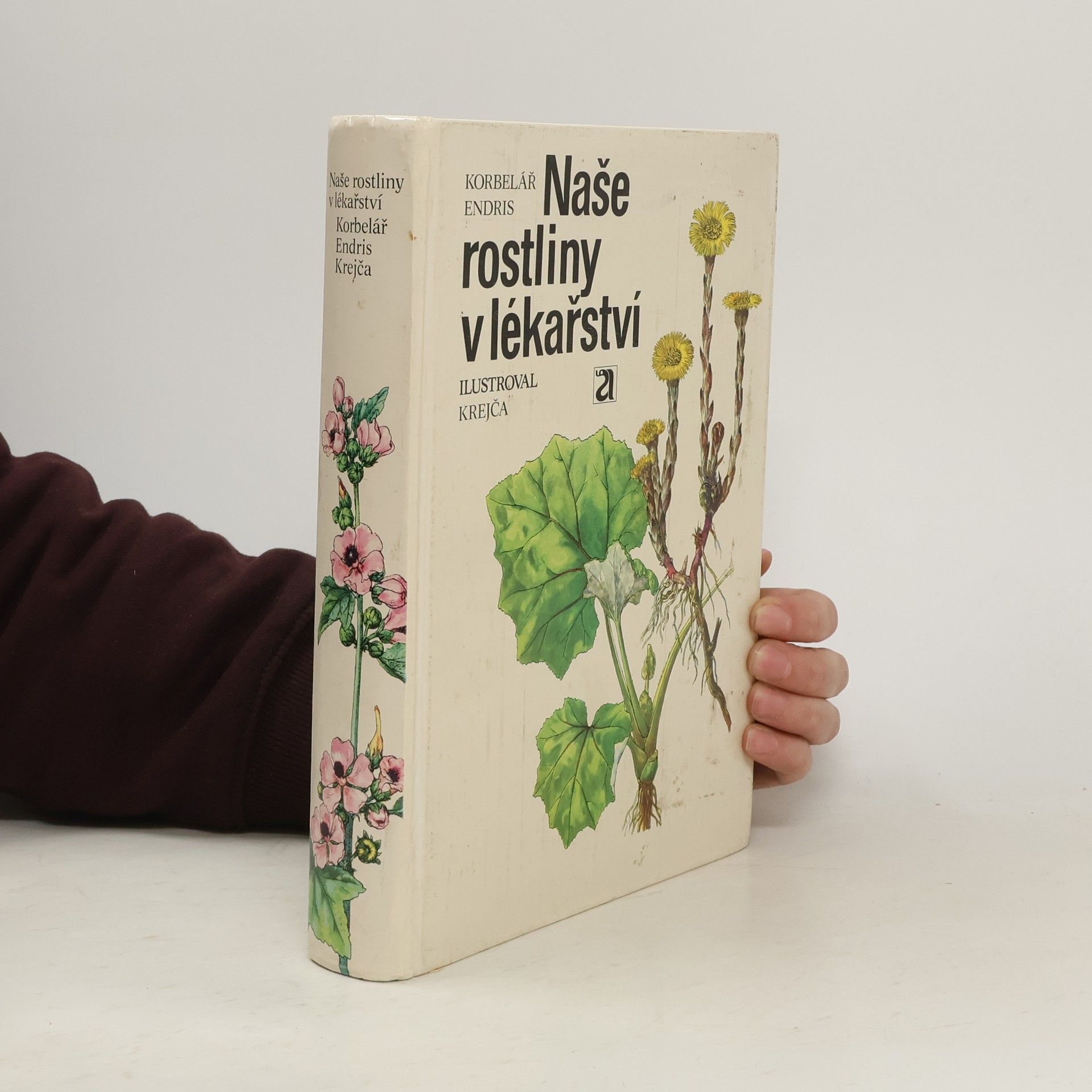 Naše rostliny v lékařství