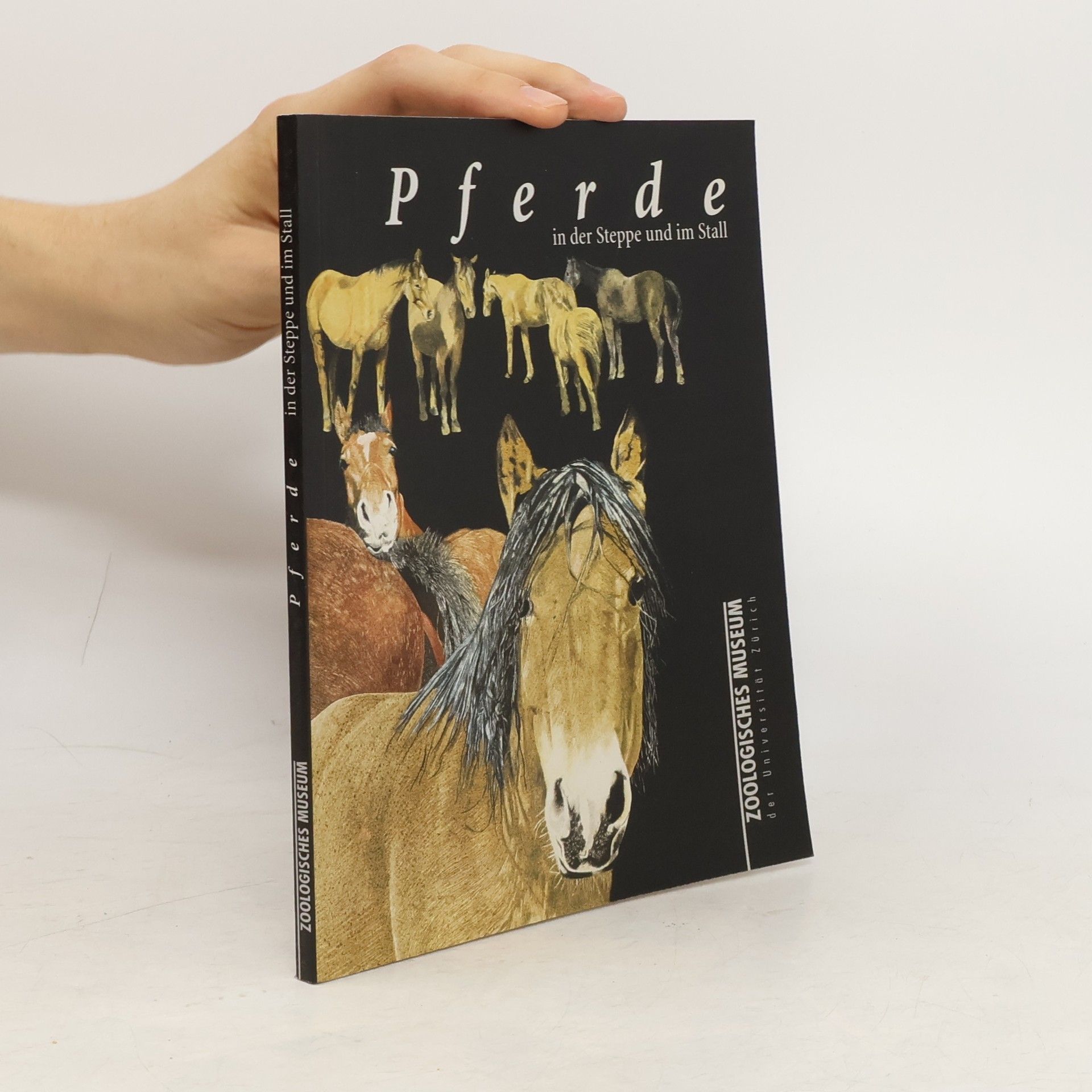 Erika Schmuki Pferde in der Steppe und im Stall