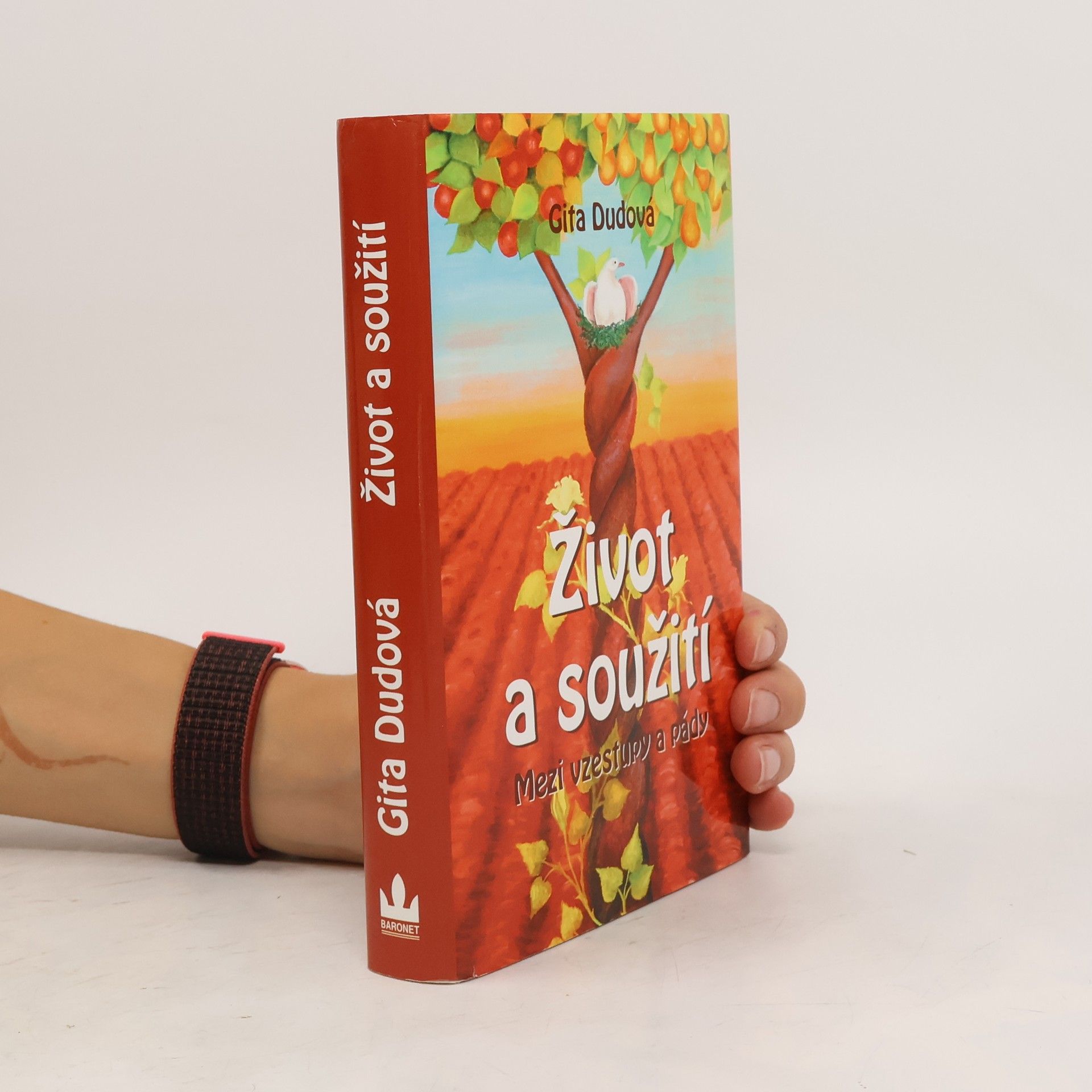 Gita Dudová Život a soužití : mezi vzestupy a pády
