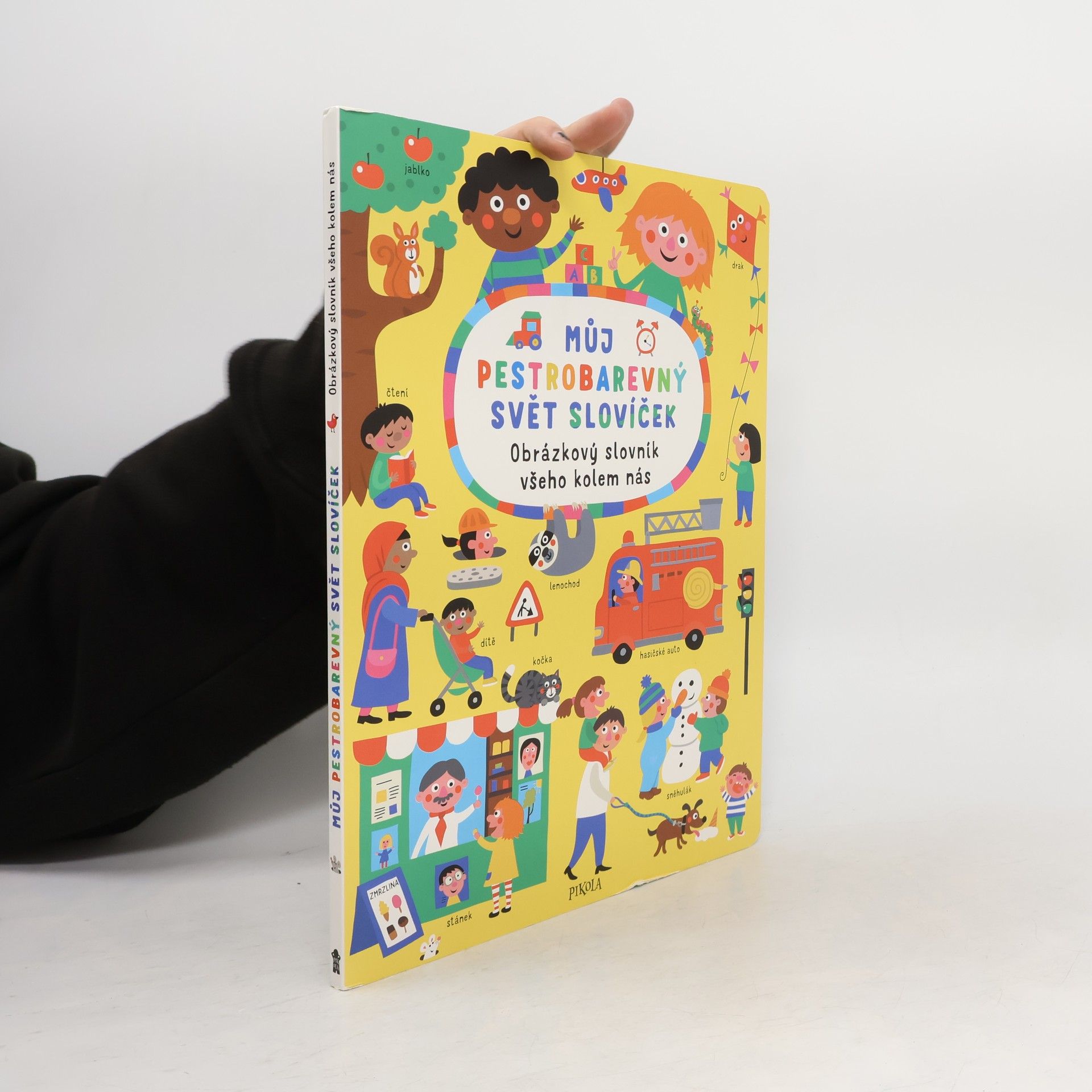 Nastja Holtfreter Můj pestrobarevný svět slovíček: Obrázkový slovník všeho kolem nás