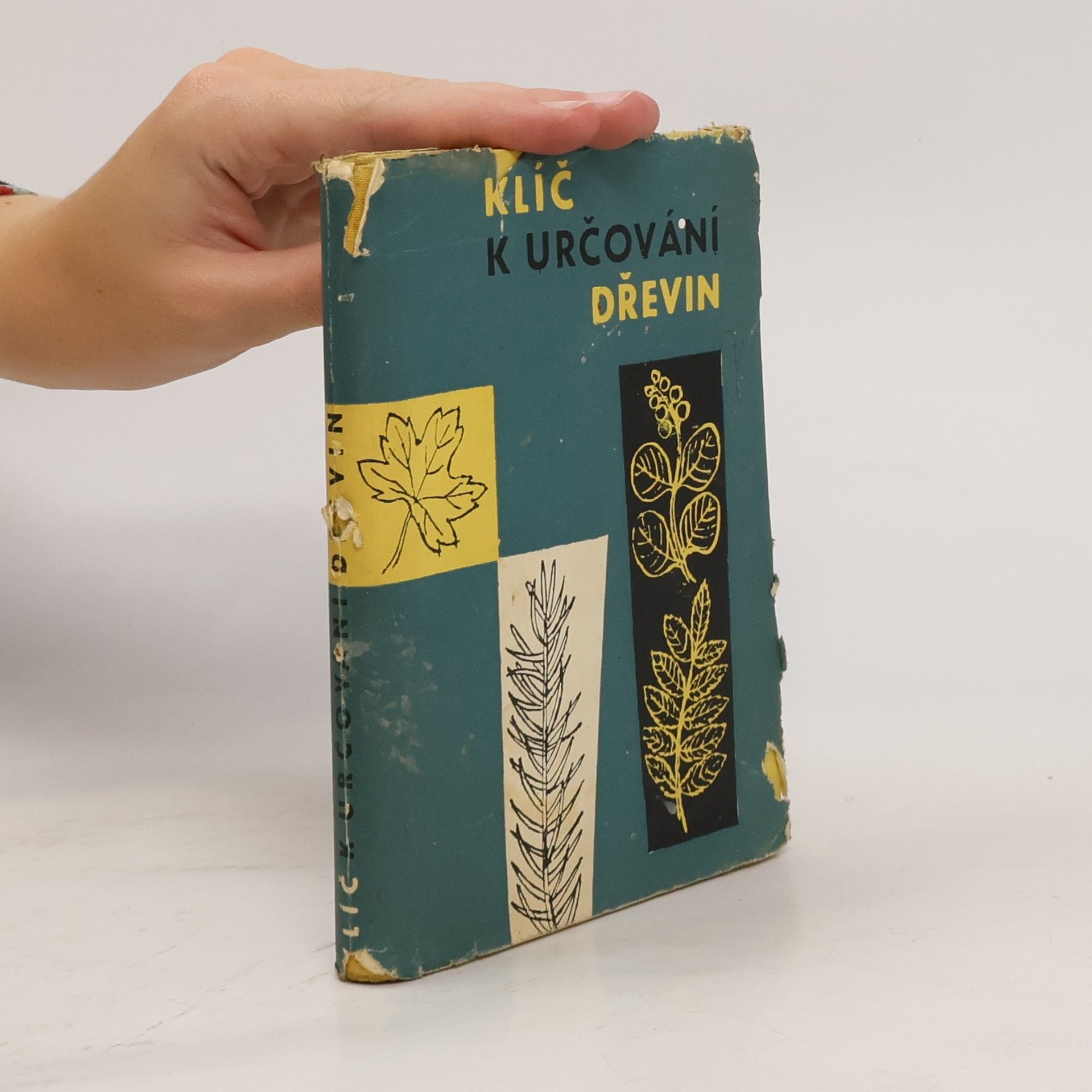 Imrich Szeghy Klíč k určování dřevin na území ČSSR planě rostoucích a častěji pěstovaných