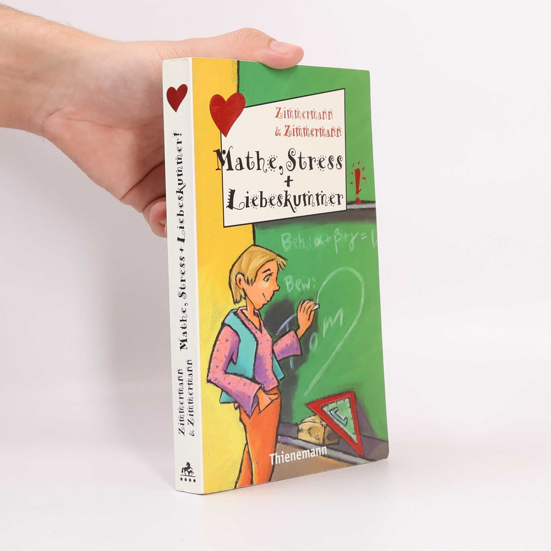 Irene Zimmermann Mathe, Stress + Liebeskummer!