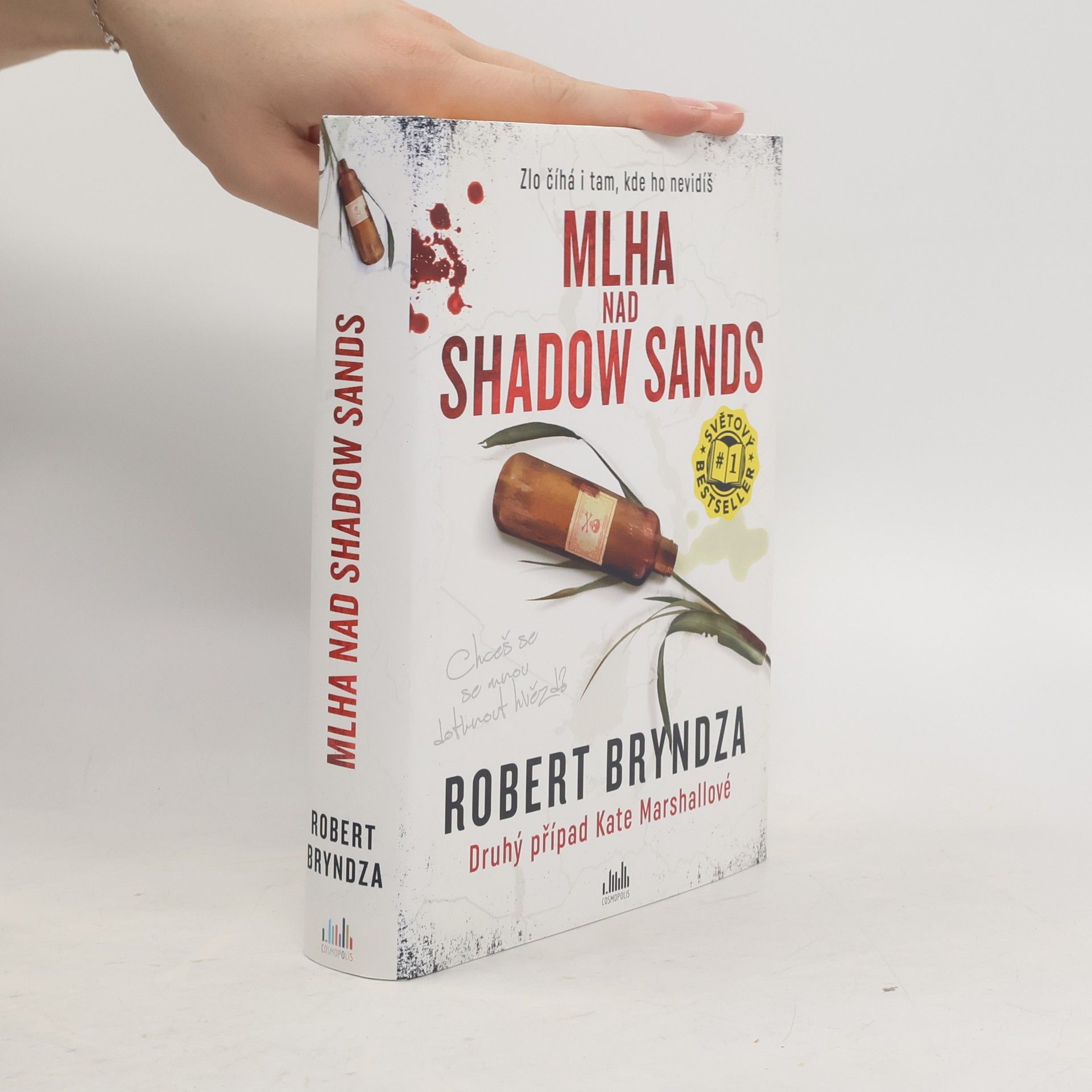 Robert Bryndza Mlha nad Shadow Sands