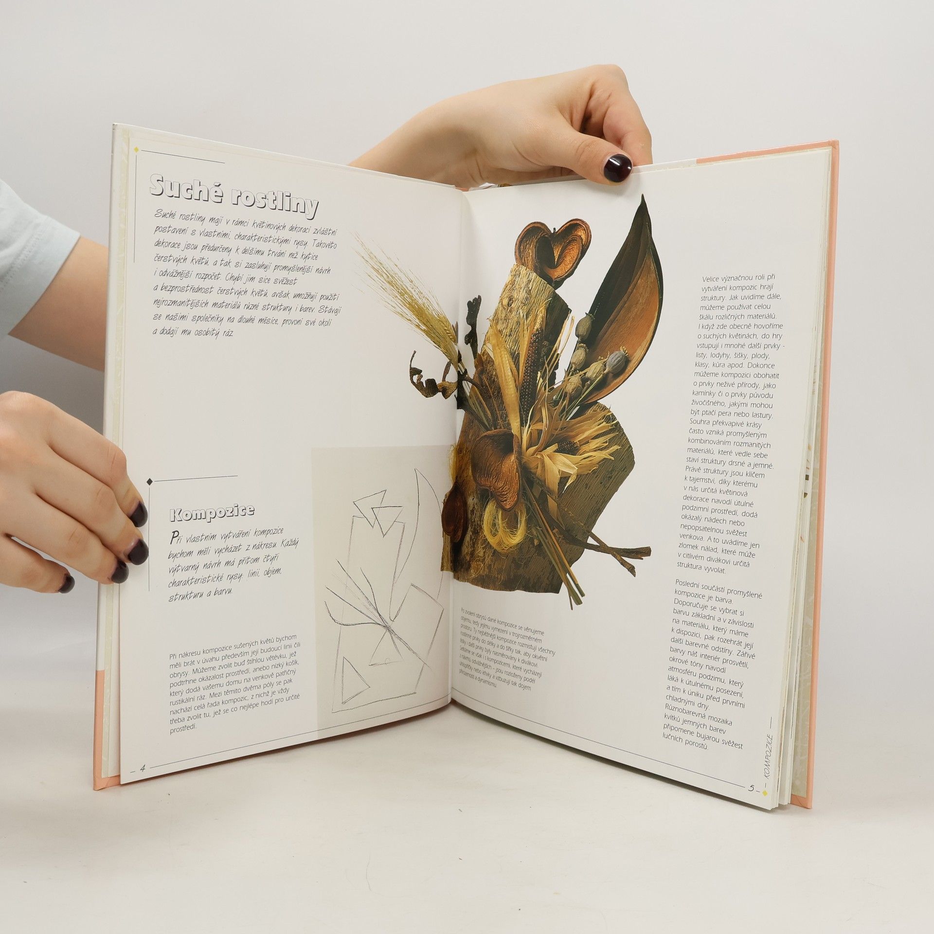 Collectif d'auteurs Sušené květiny