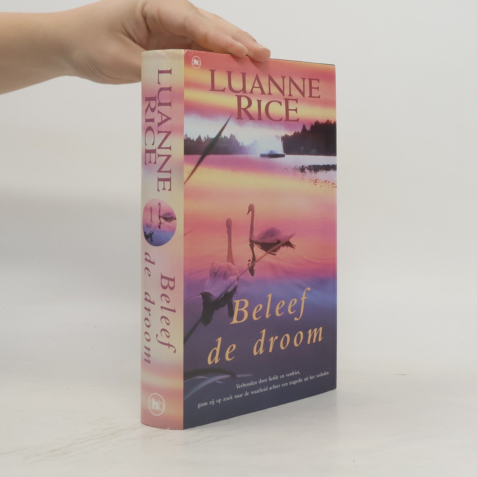 Luanne Rice Beleef de droom