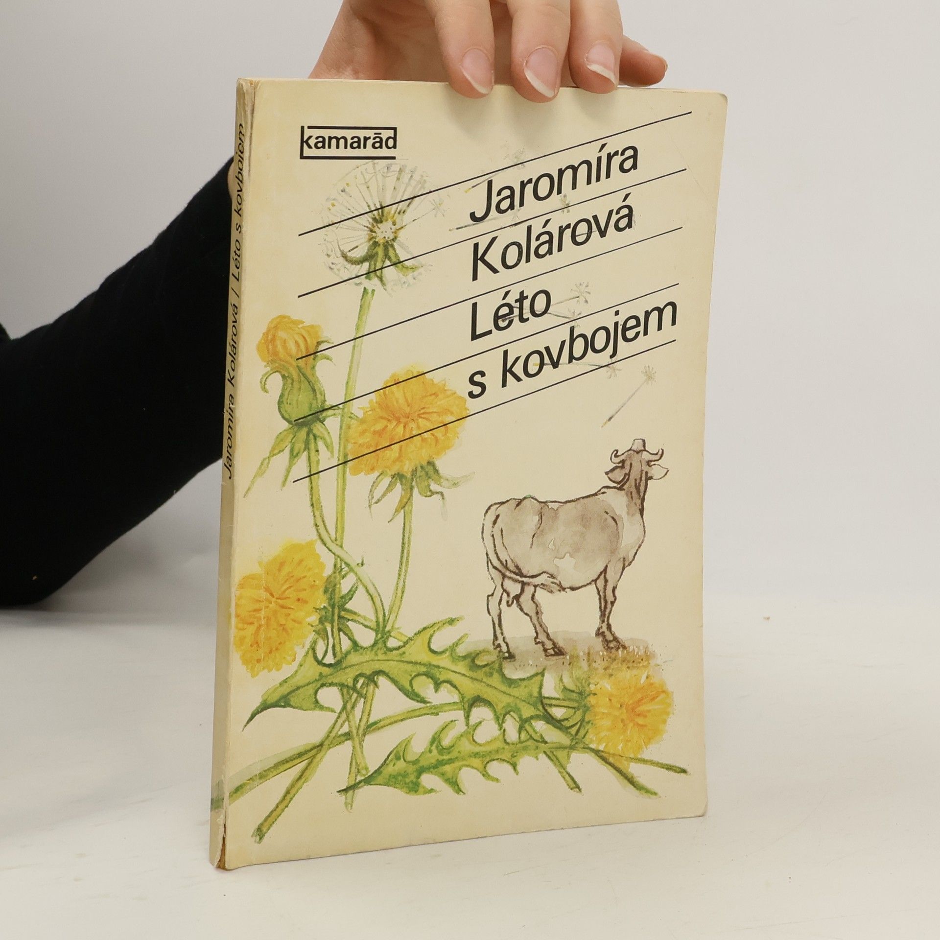Jaromíra Kolárová Léto s kovbojem
