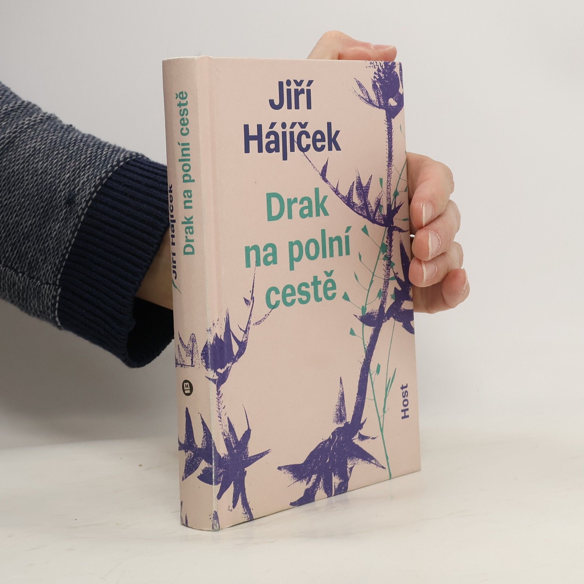 Drak na polní cestě