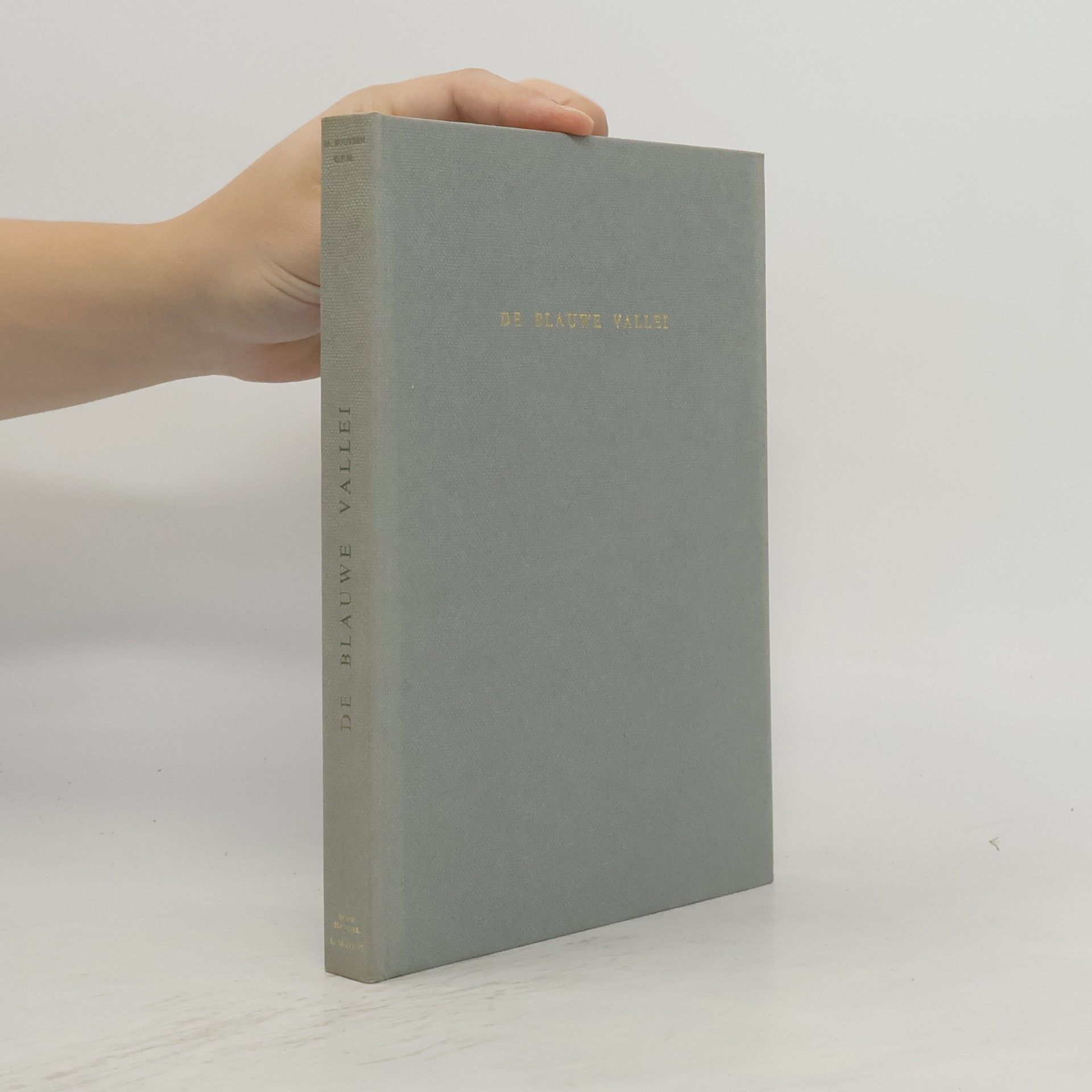 Gabriél Boutsen De blauwe vallei