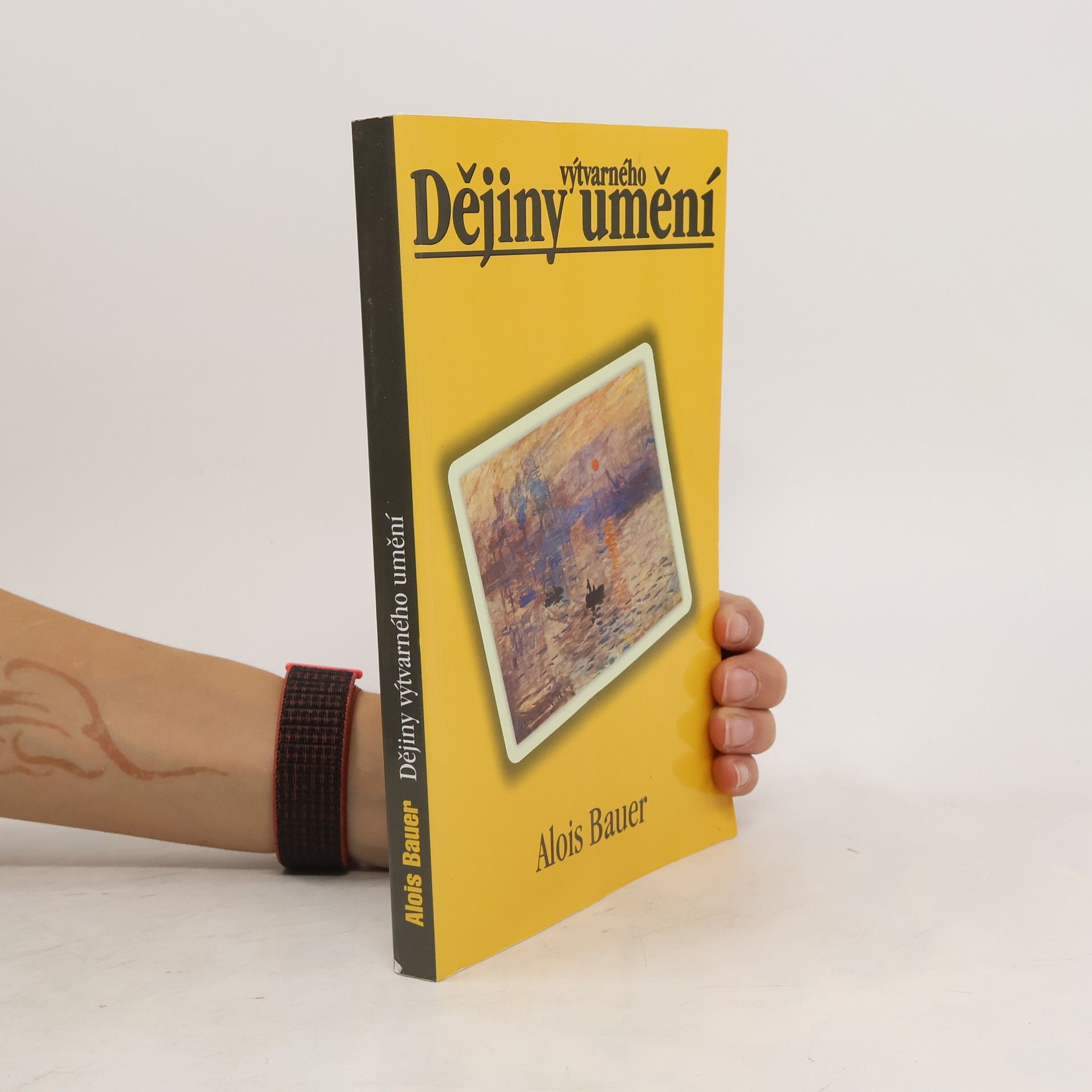 Alois Bauer Dějiny výtvarného umění