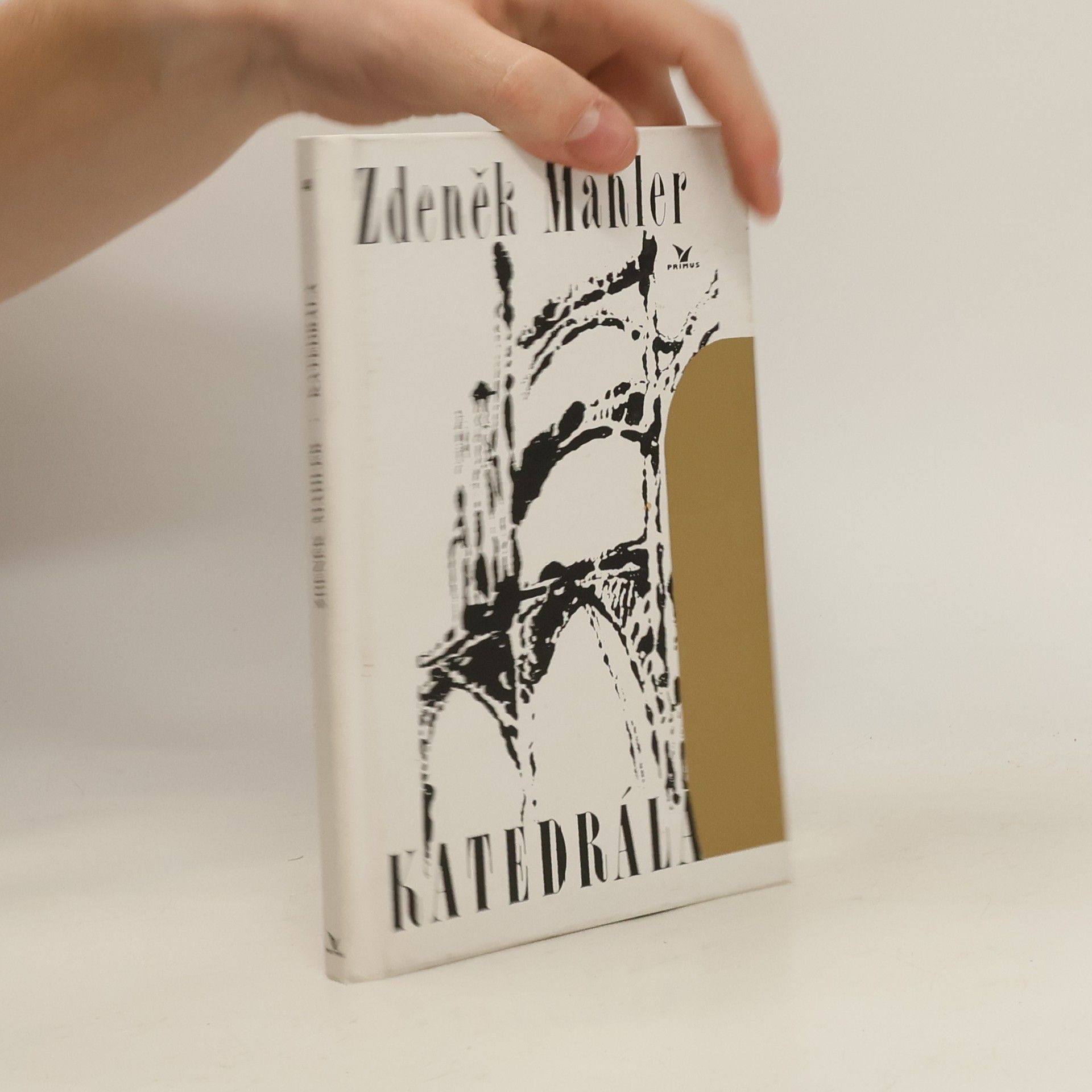 Zdeněk Mahler Katedrála