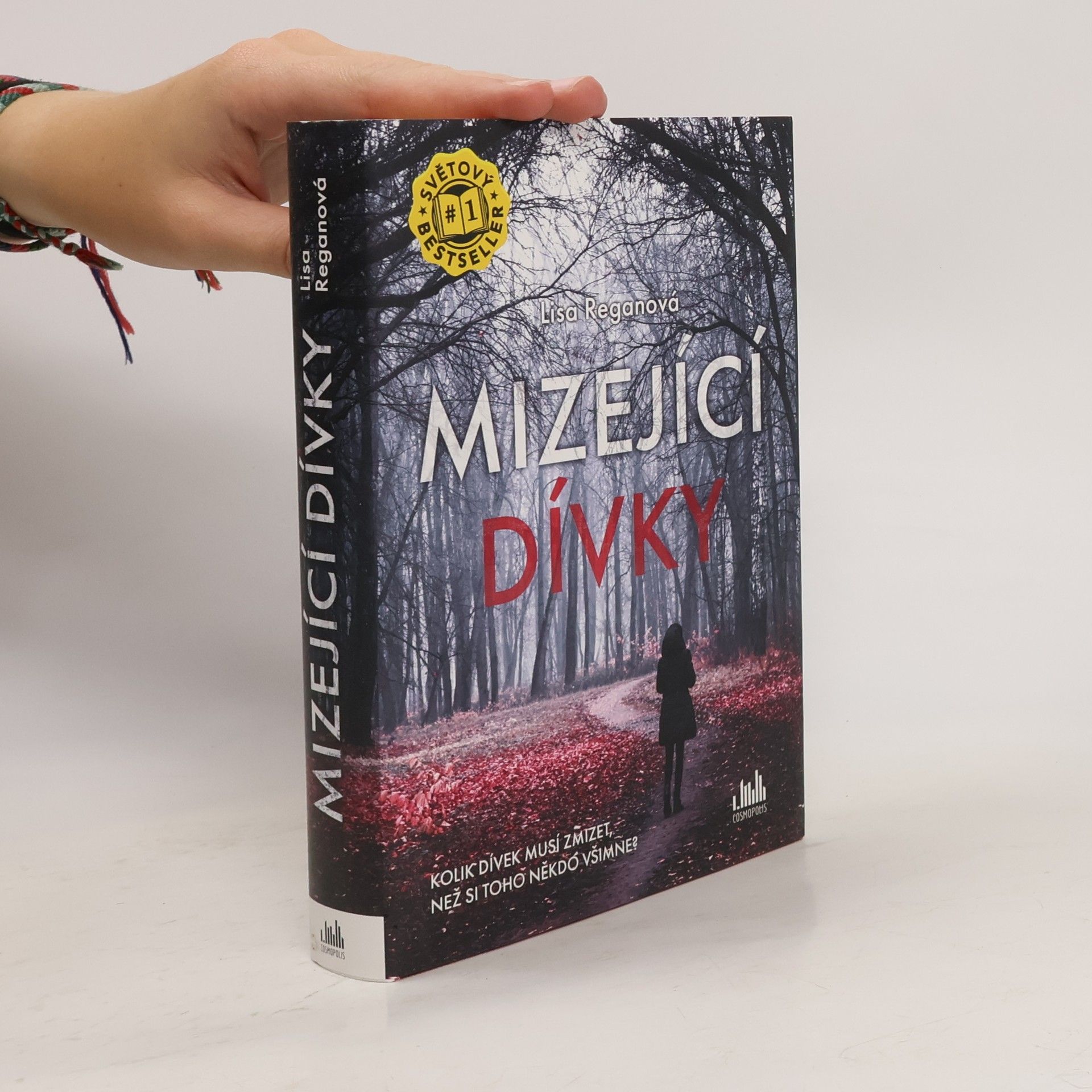 Lisa Regan Mizející dívky