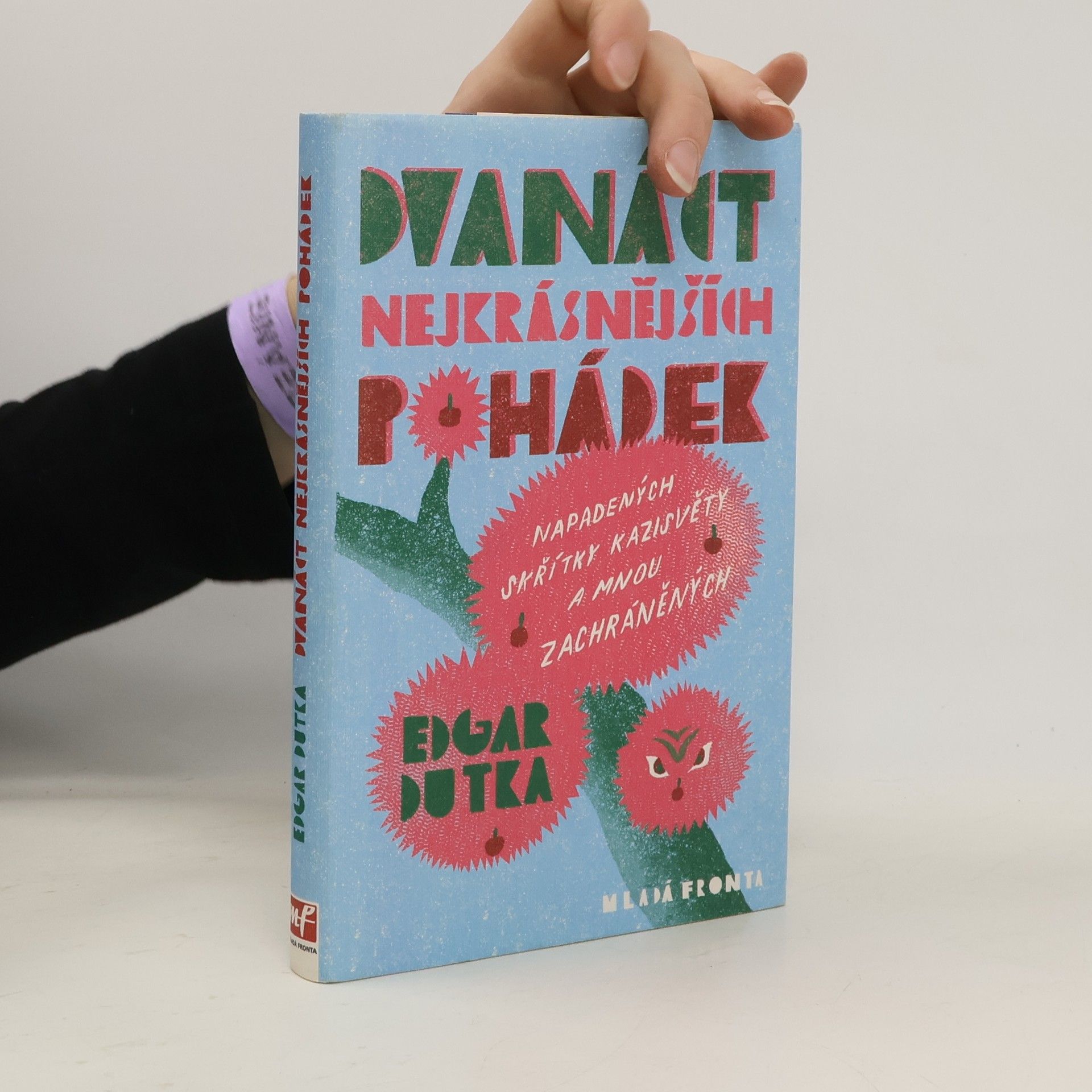 Edgar Dutka Dvanáct nejkrásnějších pohádek