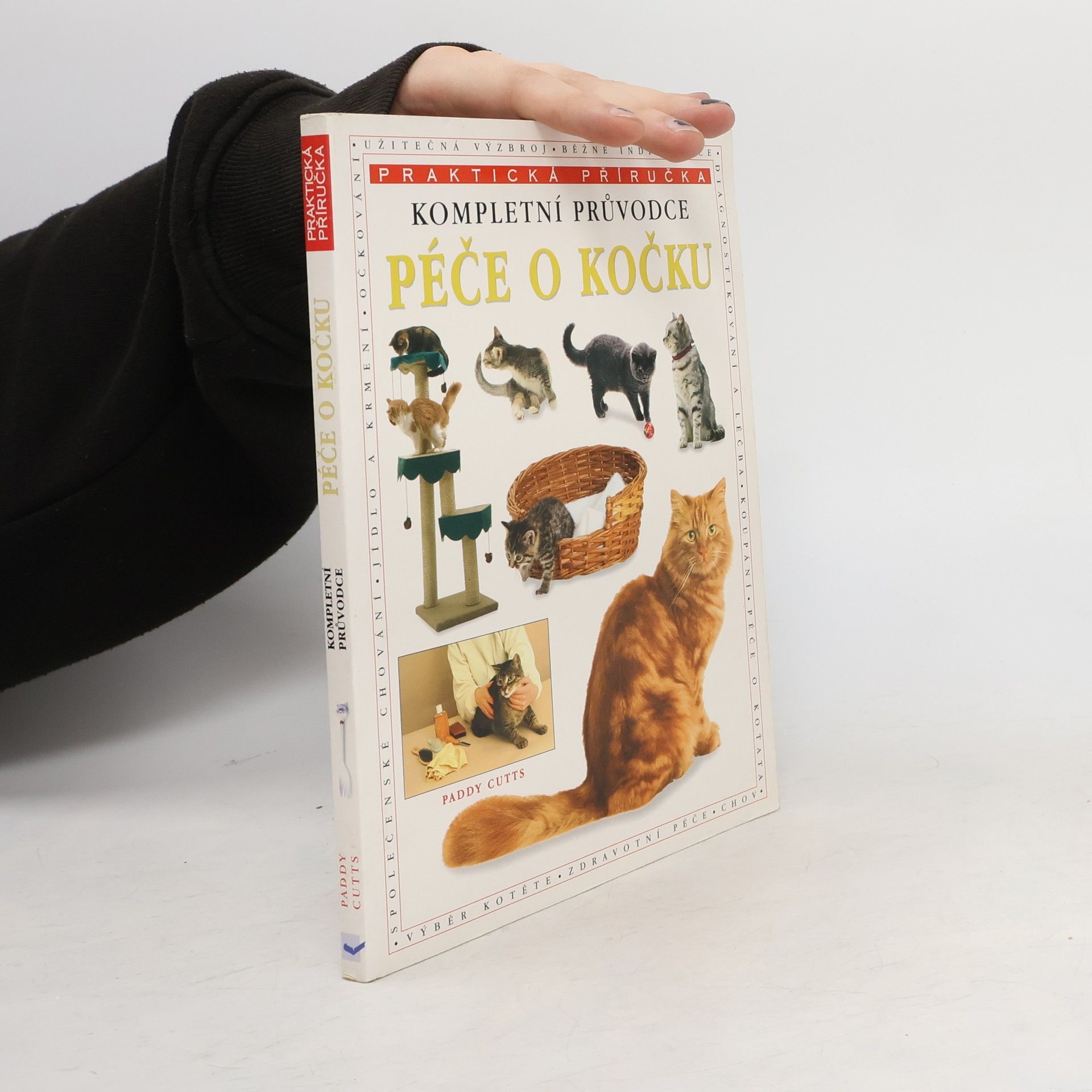 Kompletní průvodce péčí o kočku
