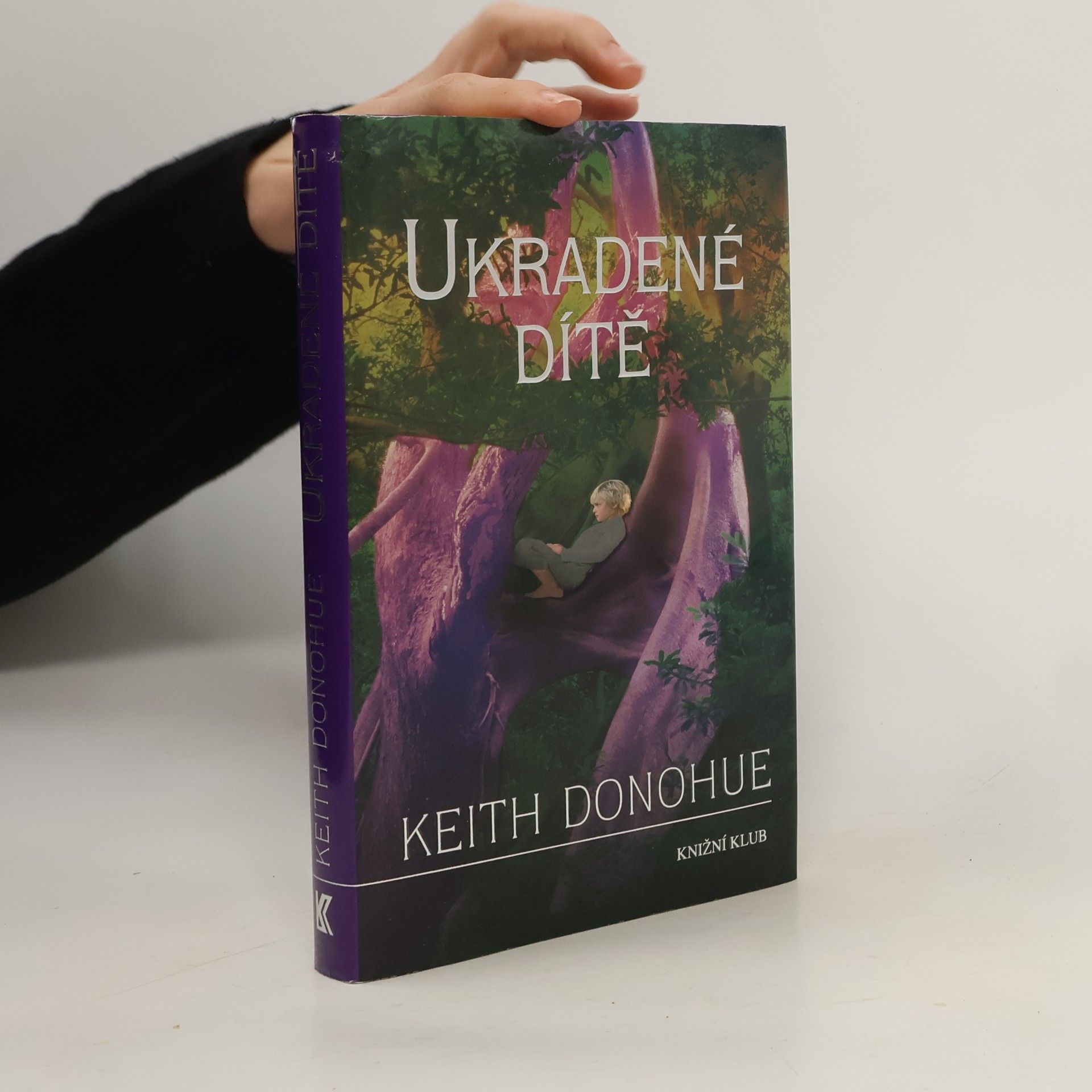 Keith Donohue Ukradené dítě