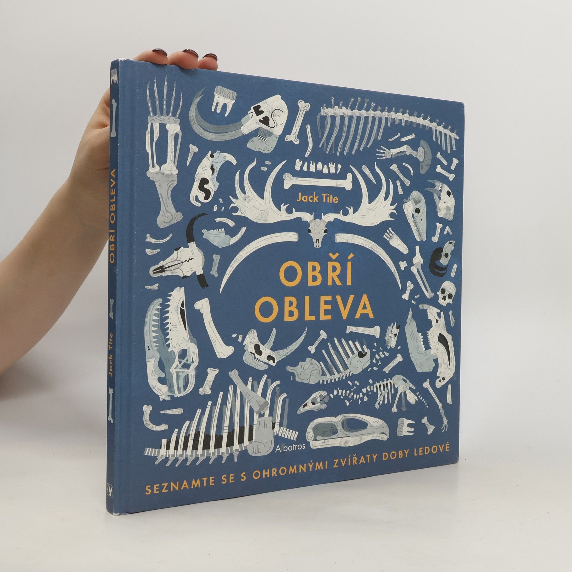 Jack Tite Obří obleva