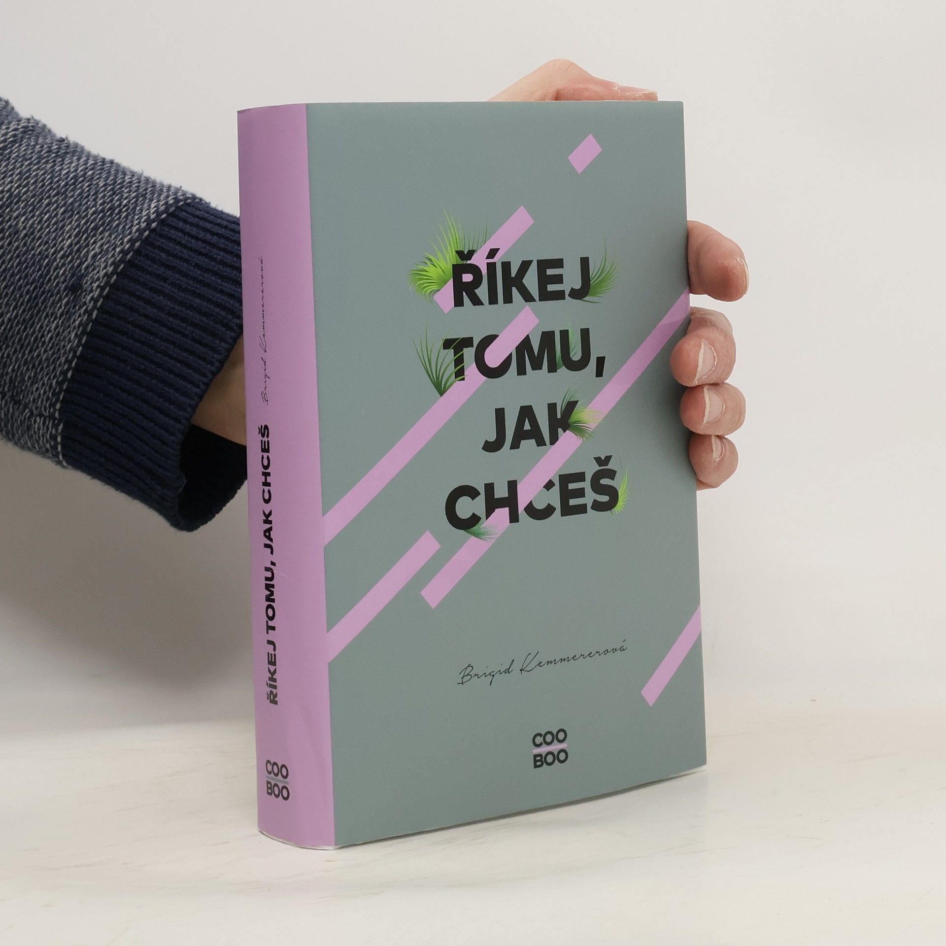 Brigid Kemmerer Říkej tomu, jak chceš