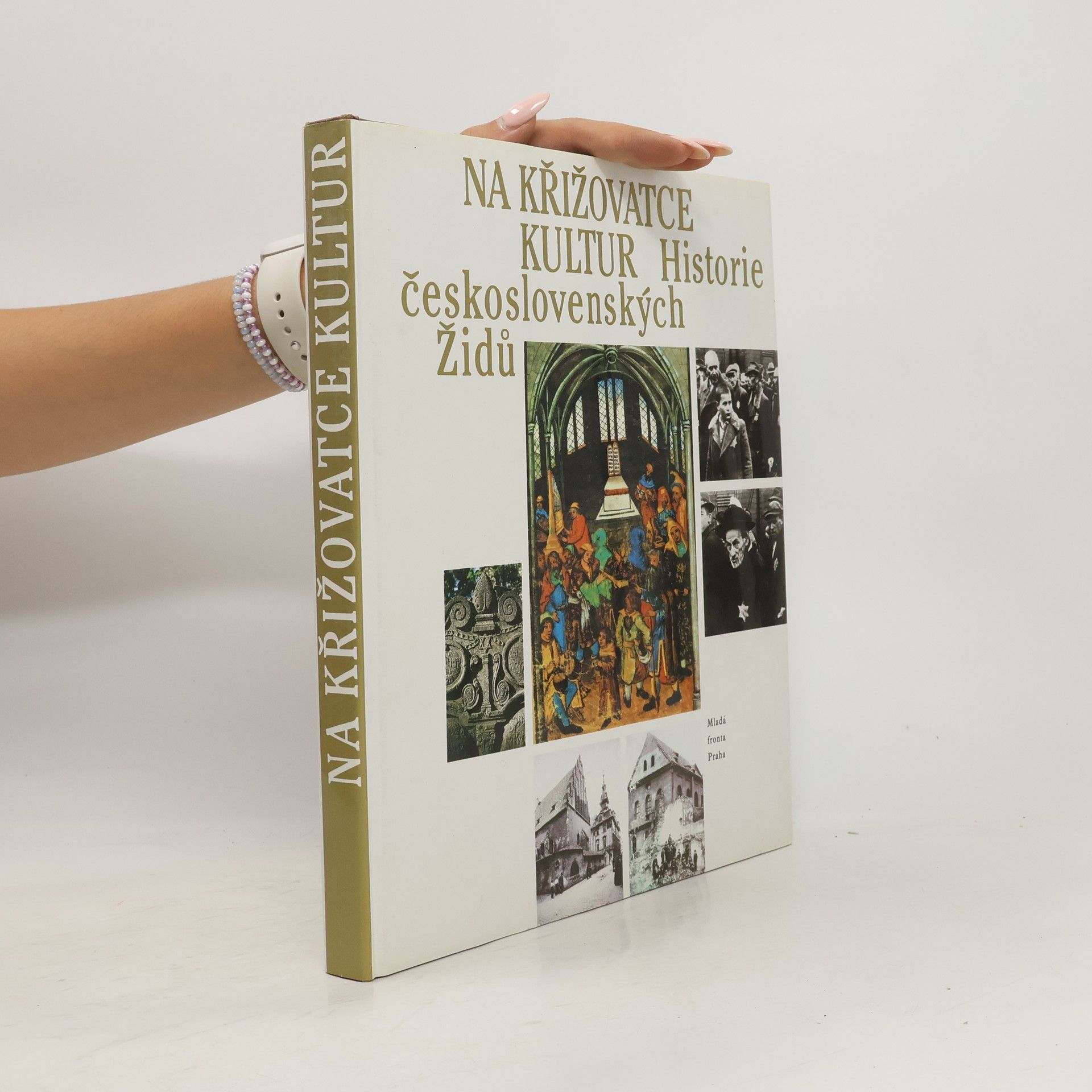 AA.VV. Na křižovatce kultur: Historie československých Židů