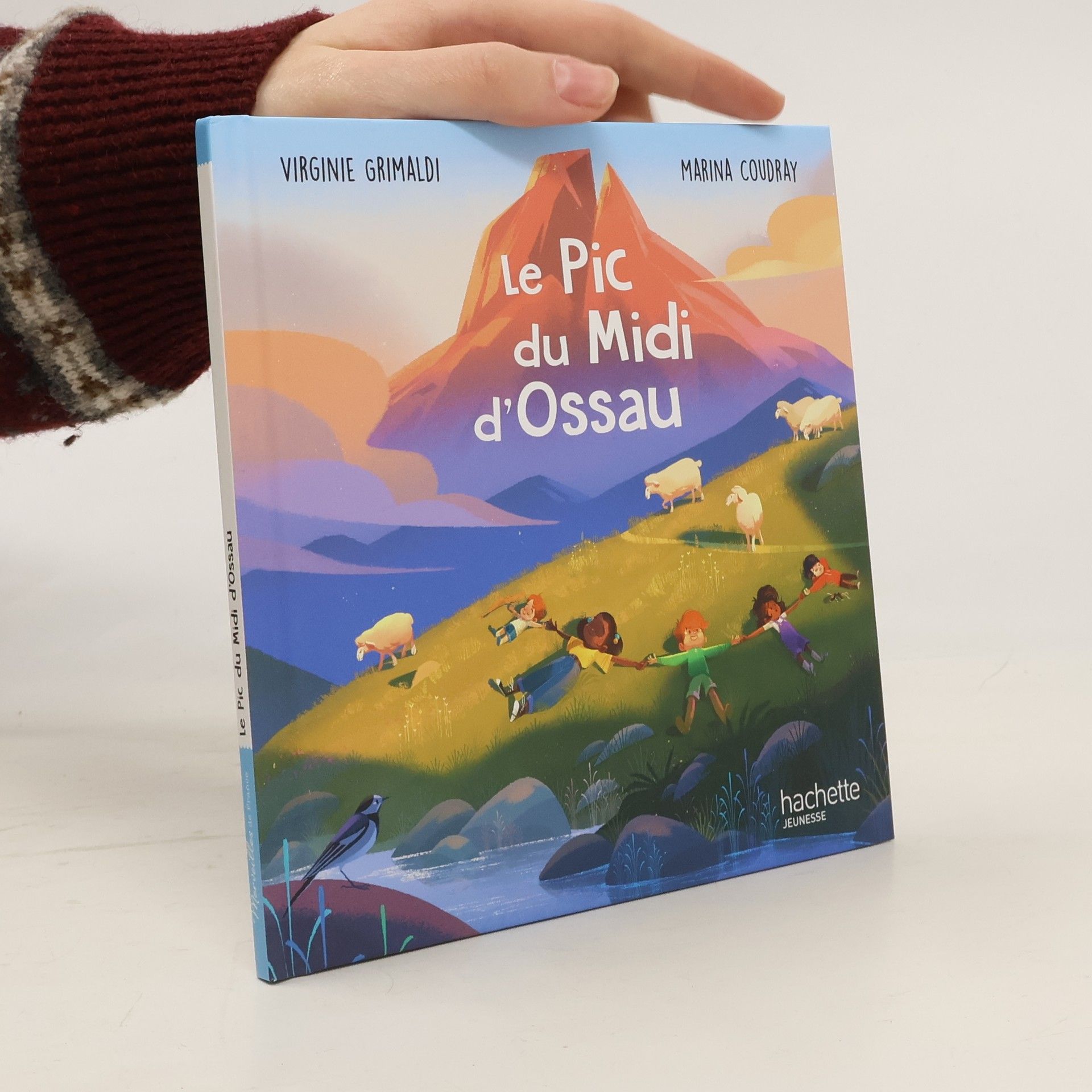 Virginie Grimaldi Le Pic du Midi d'Ossau