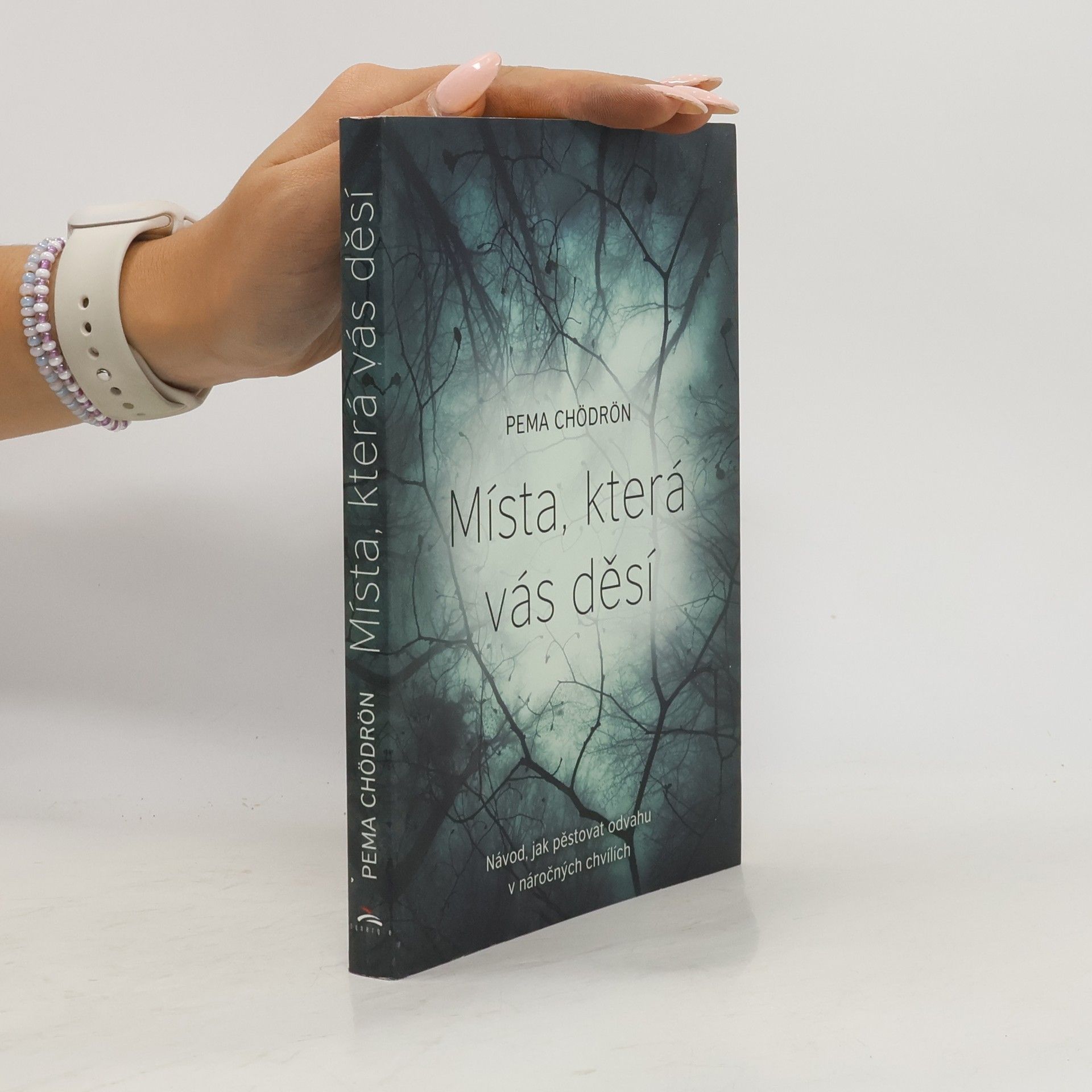 Pema Chödrön Místa, která vás děsí