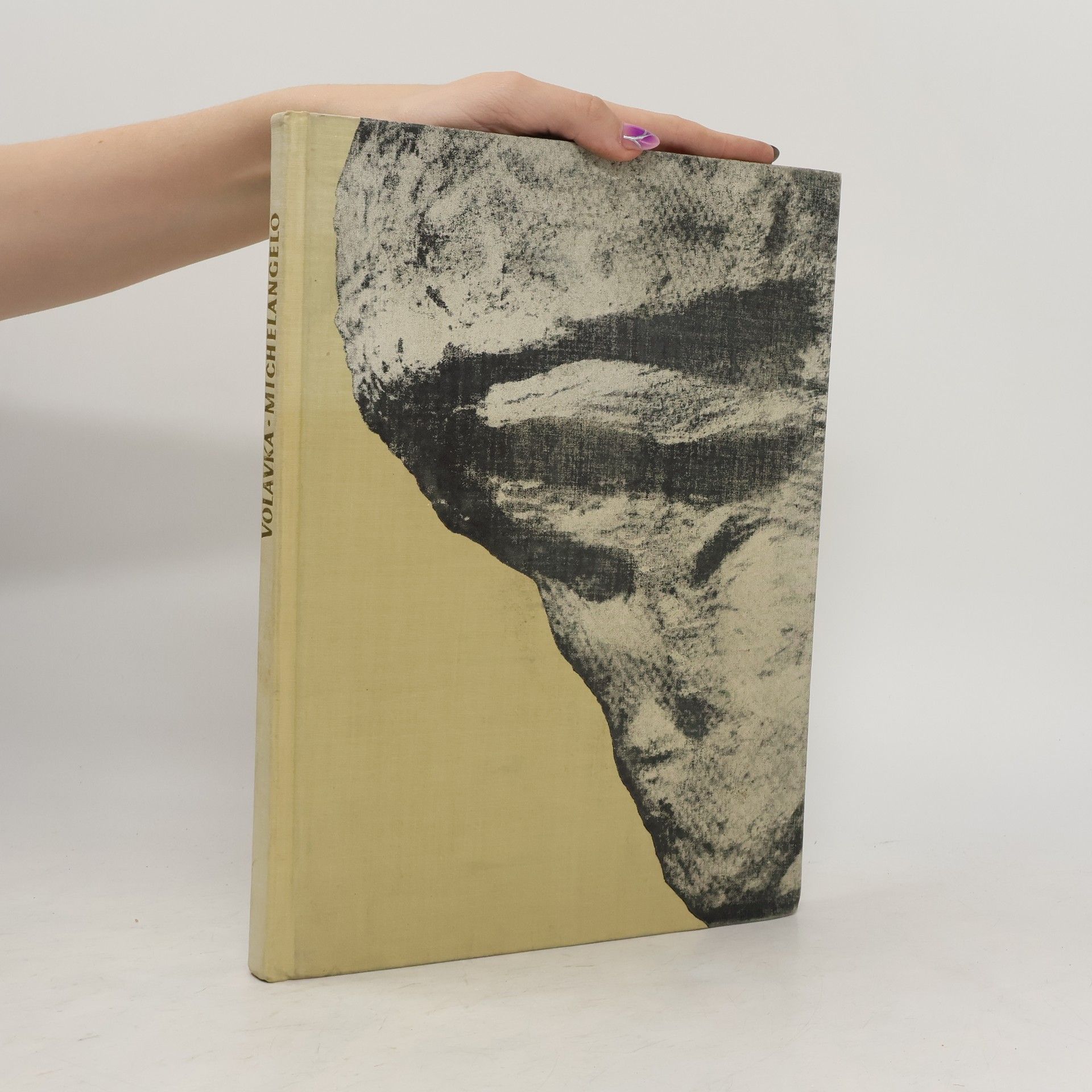 Vojtěch Volavka Michelangelo