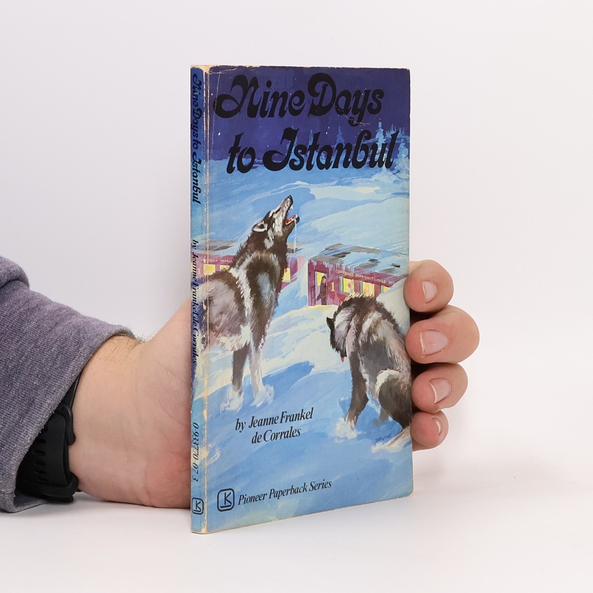 Jeanne Frankel de Corrales Nine Days to Istanbul