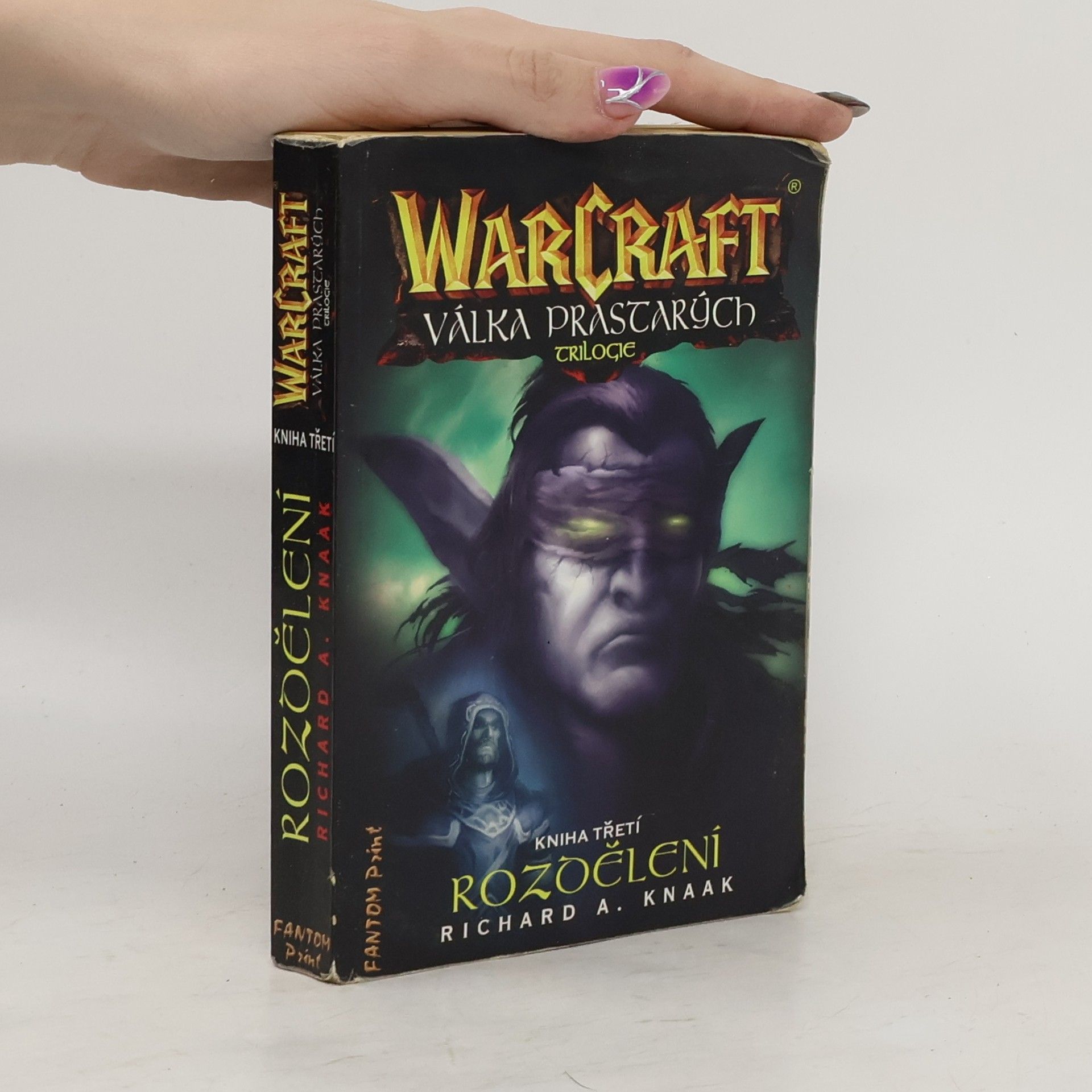 Richard A. Knaak WarCraft. Válka Prastarých 3. Rozdělení