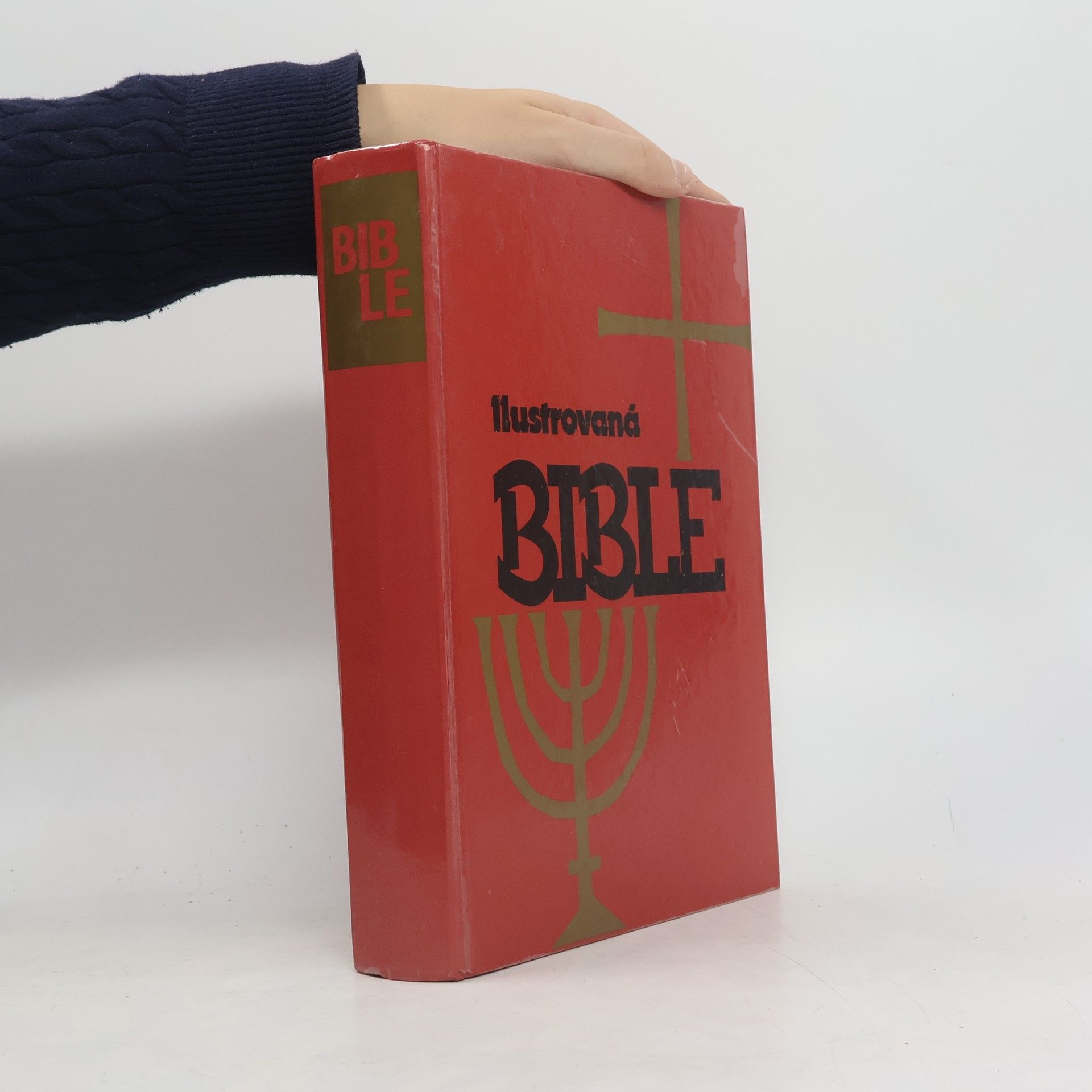 Samuel Terrien Ilustrovaná Bible pro mládež