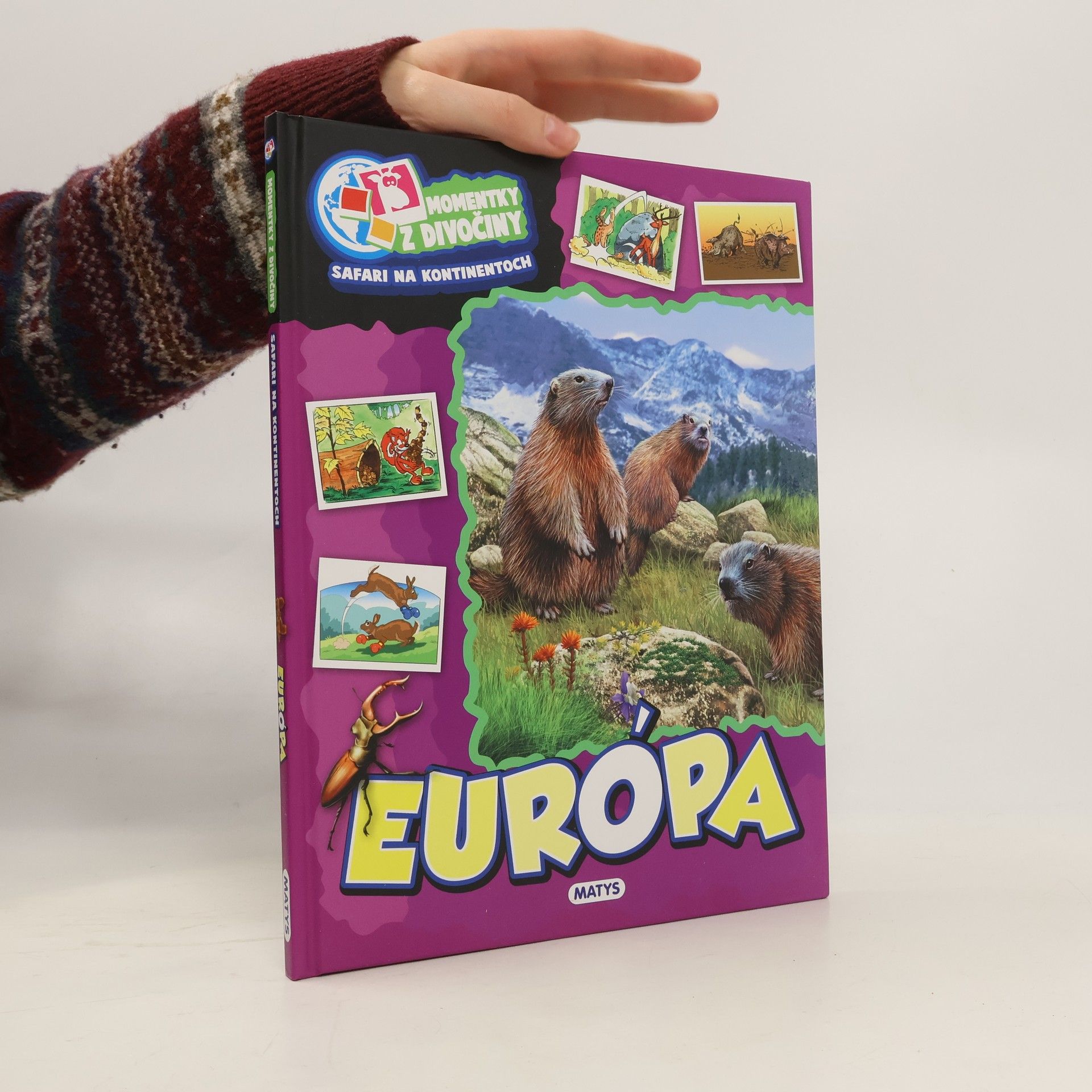 Ilona Bagoly Európa