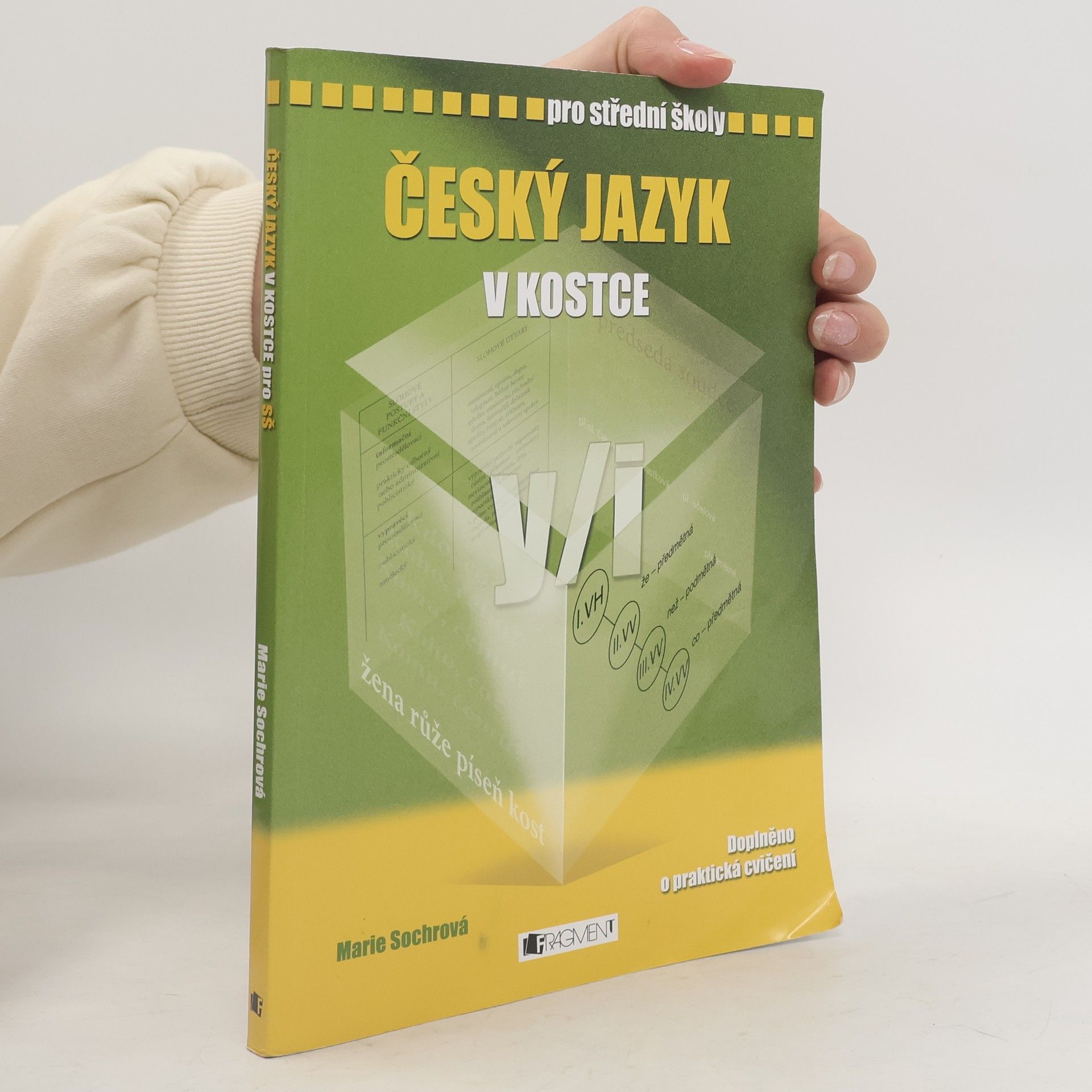 Marie Sochrová Český jazyk v kostce : pro střední školy