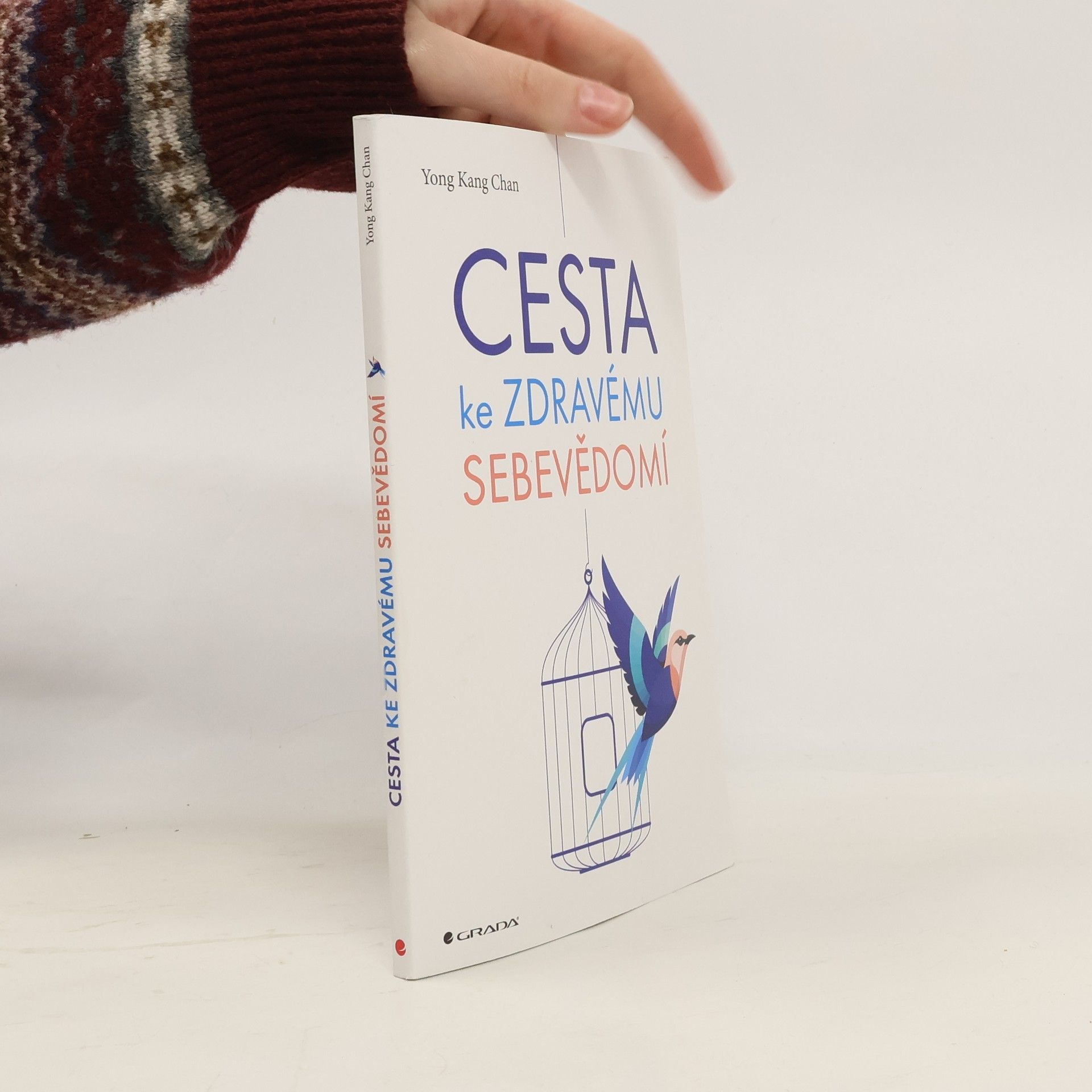 Yong Kang Chan Cesta ke zdravému sebevědomí