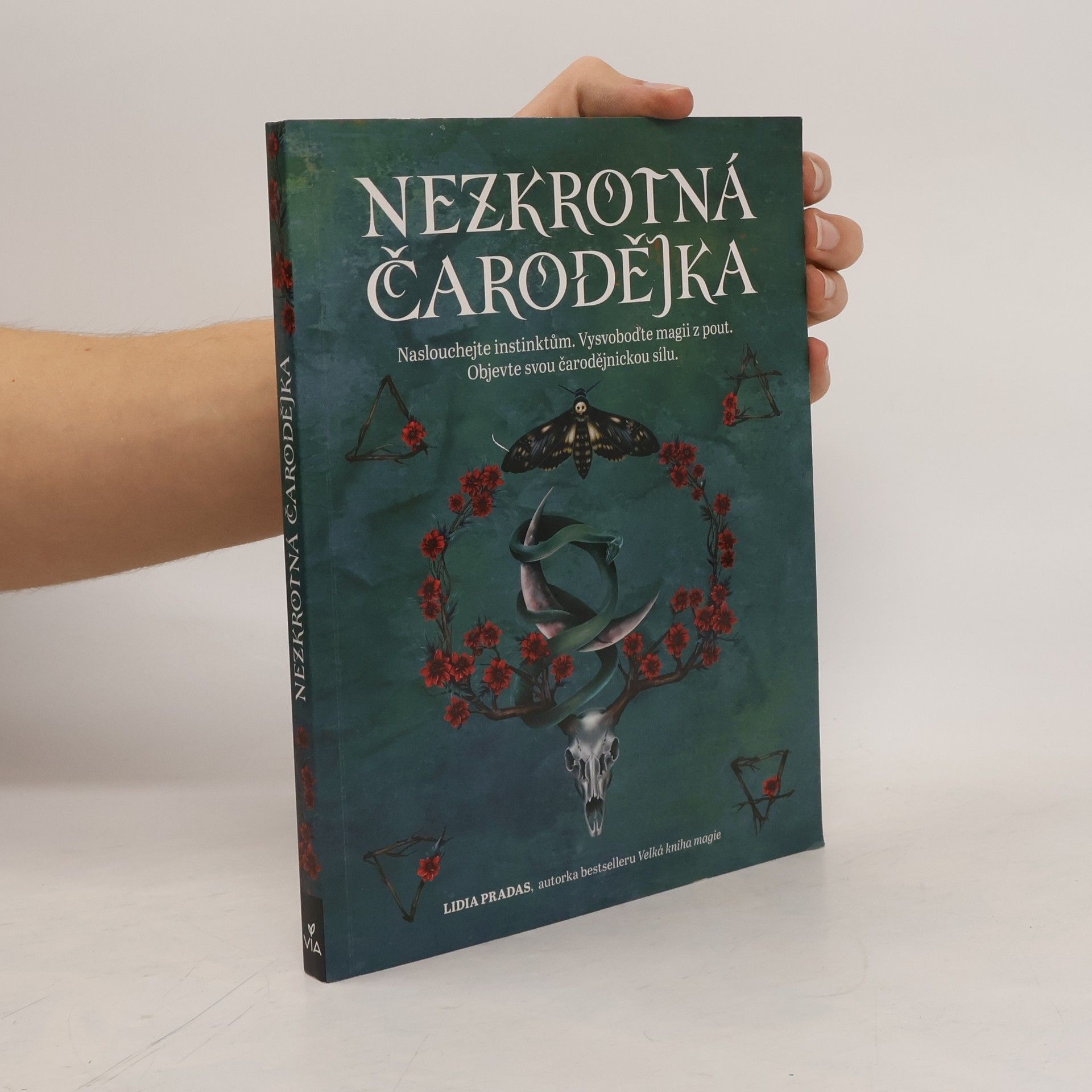 Nezkrotná čarodějka : Naslouchejte instinktům. Vysvoboďte magii z pout. Objevte svou čarodějnickou sílu.