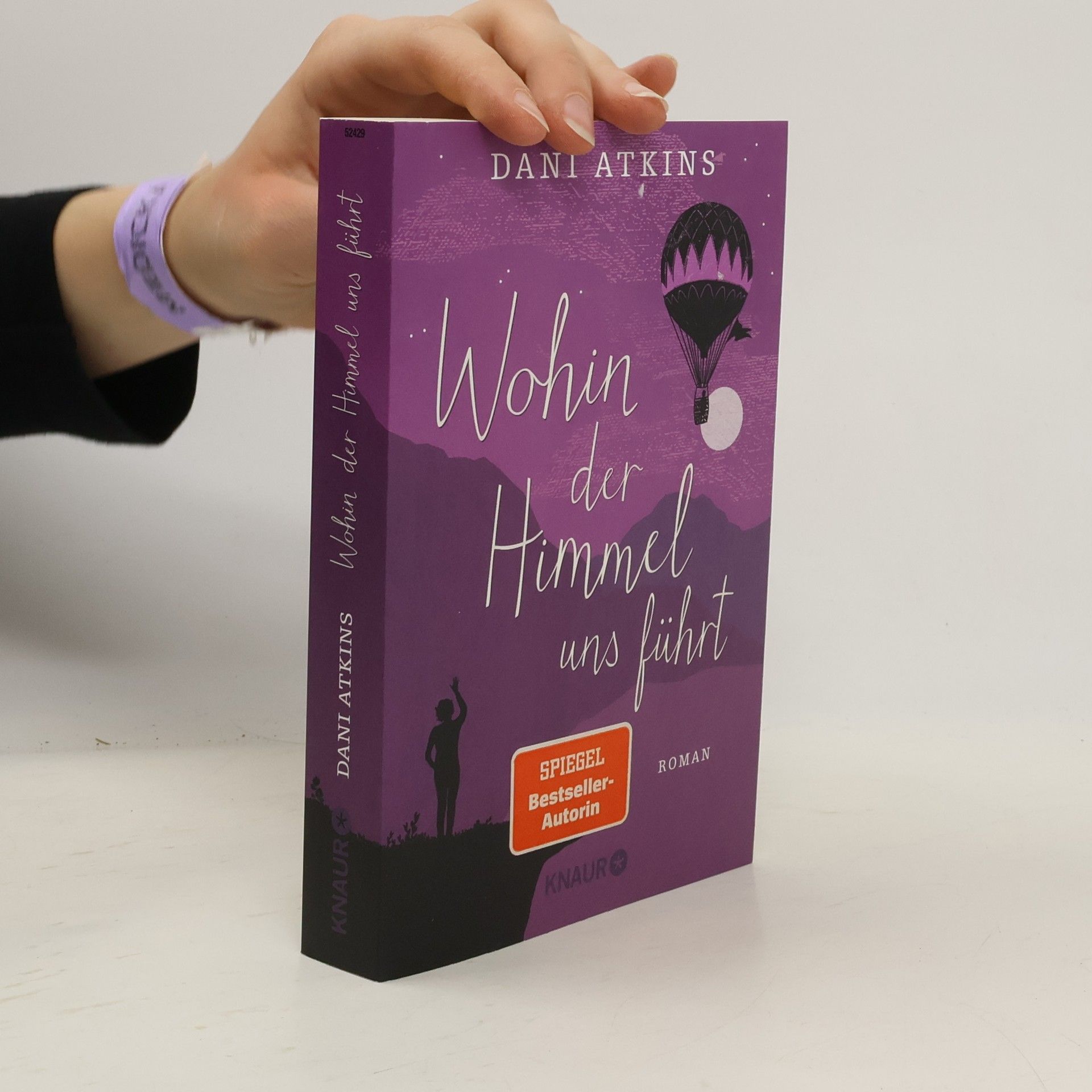 Dani Atkins Wohin der Himmel uns führt