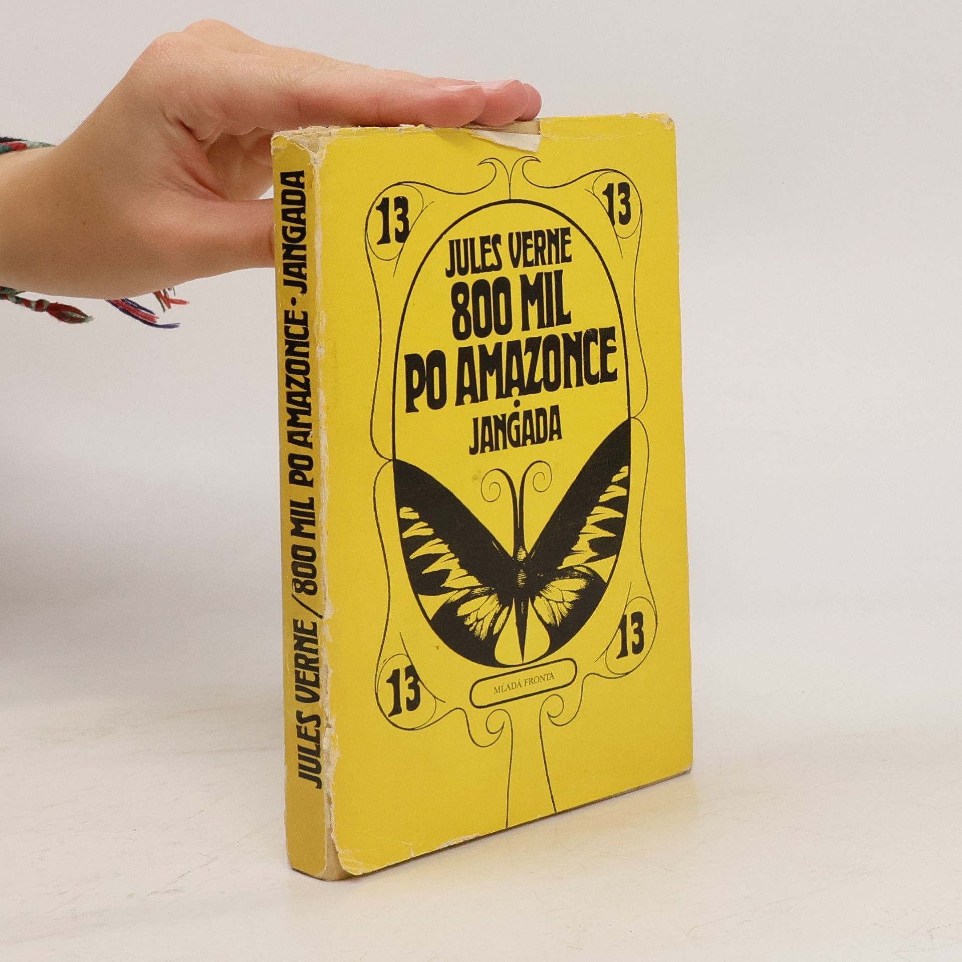 Jules Verne 800 mil po Amazonce. Jangada