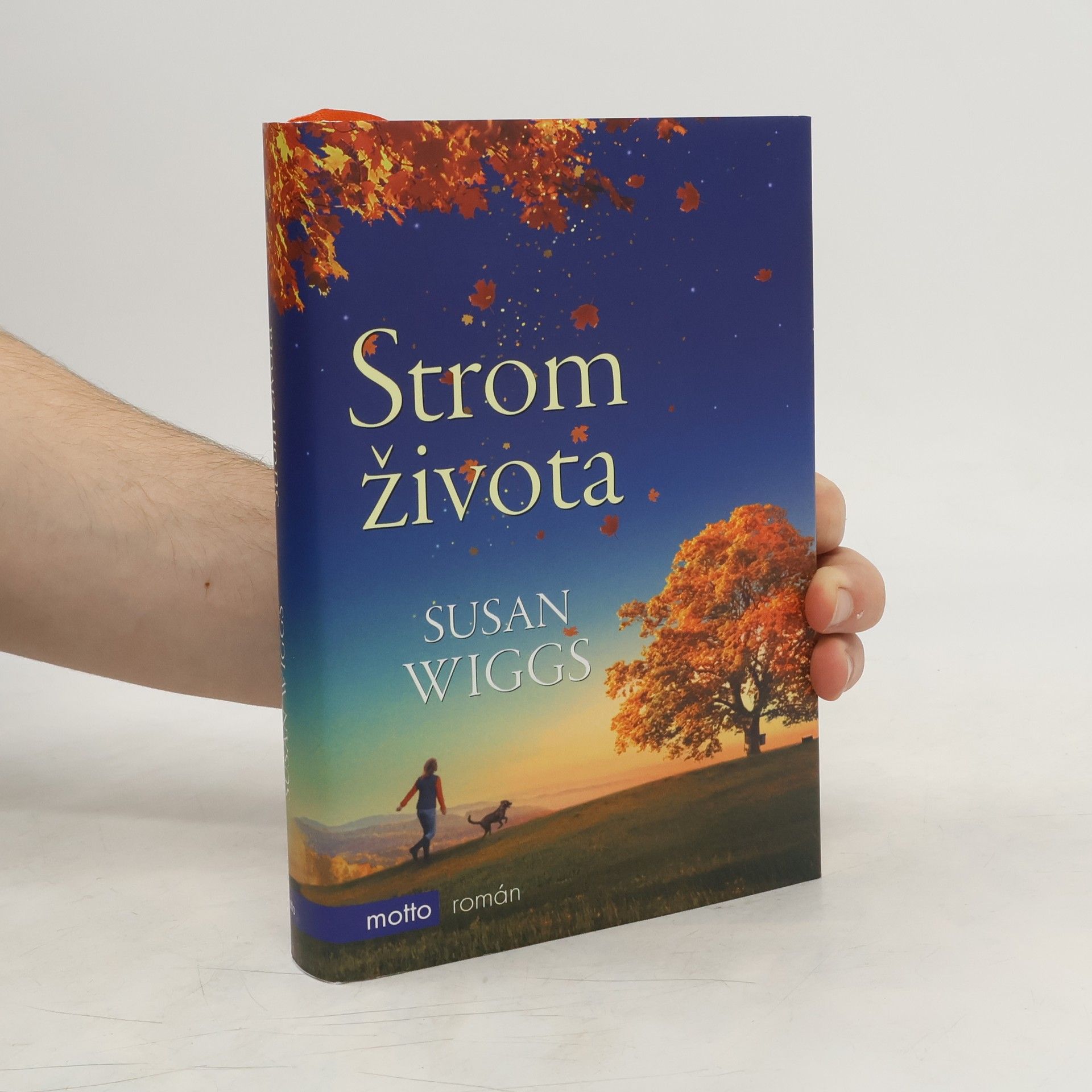 Susan Wiggs Strom života