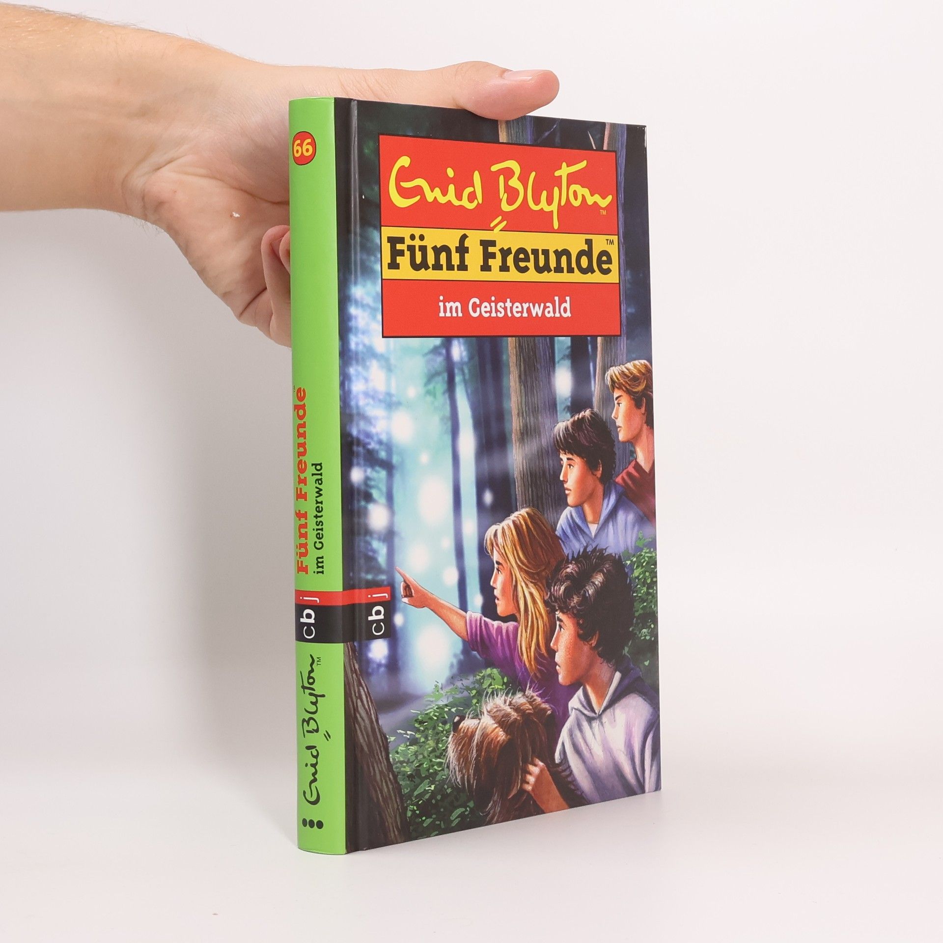 Sarah Bosse Fünf Freunde im Geisterwald